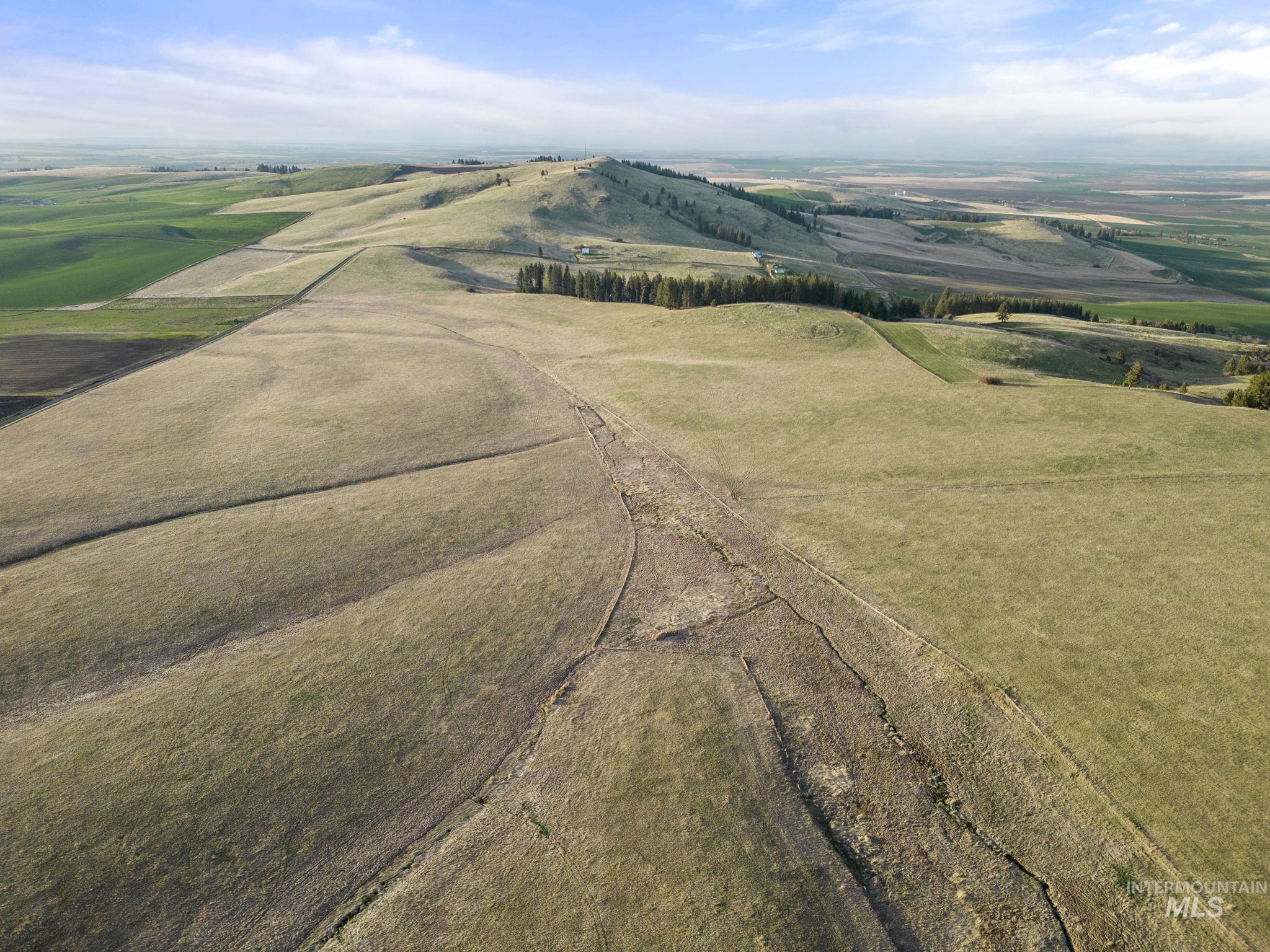 TBD Reservation Line Rd, CottonWood, Idaho 83522, Farm & Ranch For Sale, Price $1,247,876,MLS 98876583