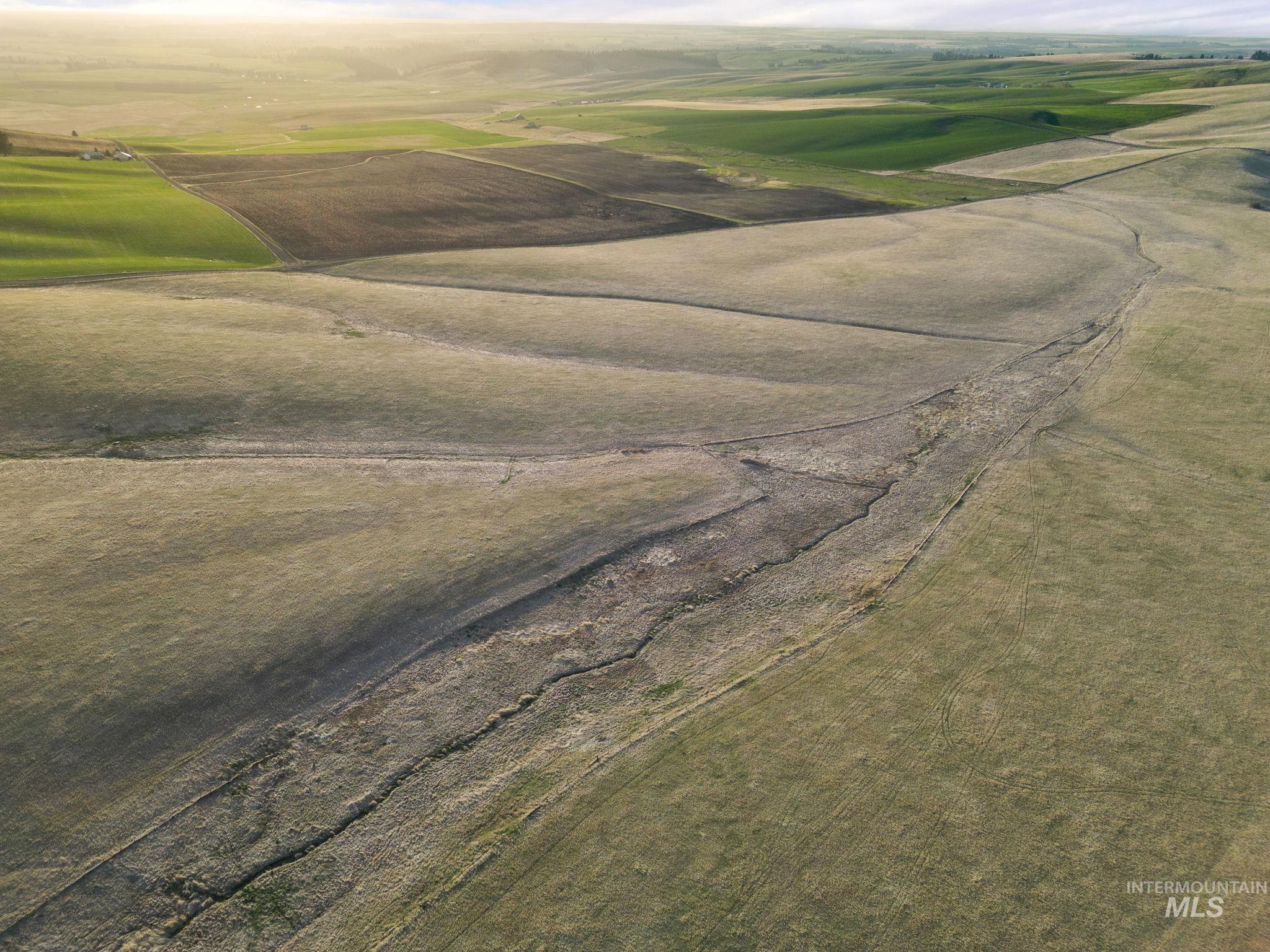 TBD Reservation Line Rd, CottonWood, Idaho 83522, Farm & Ranch For Sale, Price $1,247,876, 98876583