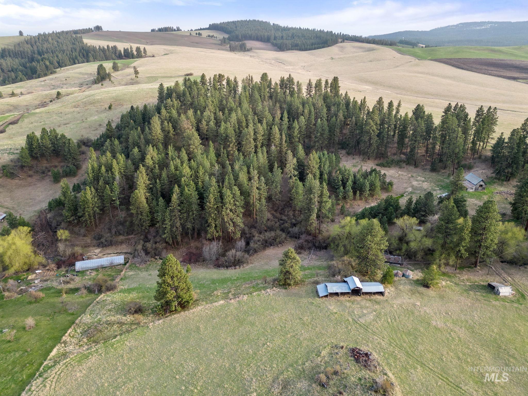 TBD Reservation Line Rd, CottonWood, Idaho 83522, Land For Sale, Price $920,000,MLS 98876592