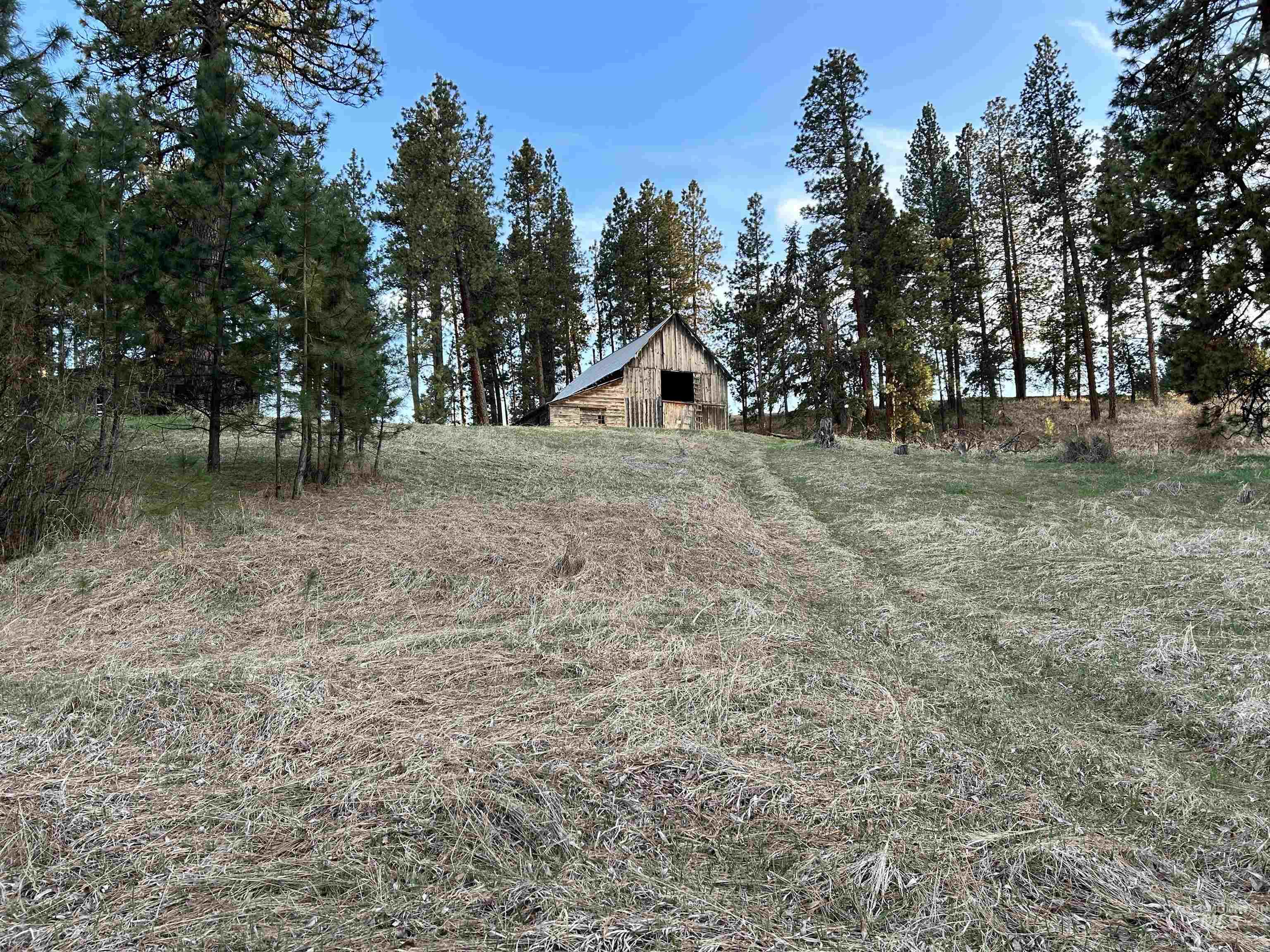 TBD Reservation Line Rd, CottonWood, Idaho 83522, Land For Sale, Price $920,000,MLS 98876592