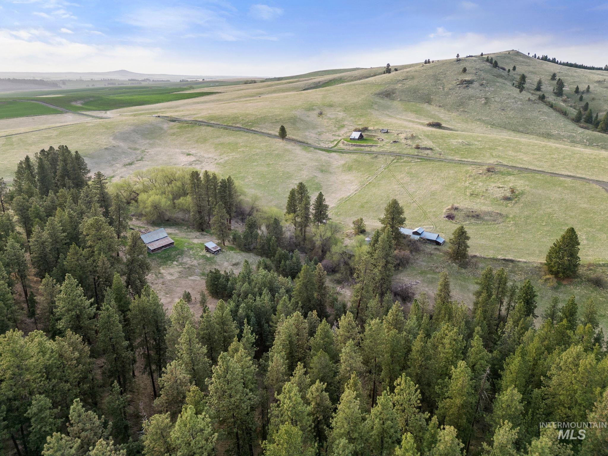 TBD Reservation Line Rd, CottonWood, Idaho 83522, Land For Sale, Price $920,000,MLS 98876592