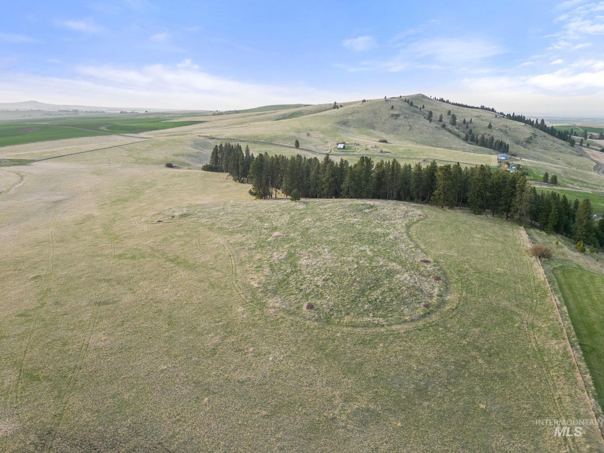 TBD Reservation Line Rd, CottonWood, Idaho 83522, Land For Sale, Price $920,000,MLS 98876592
