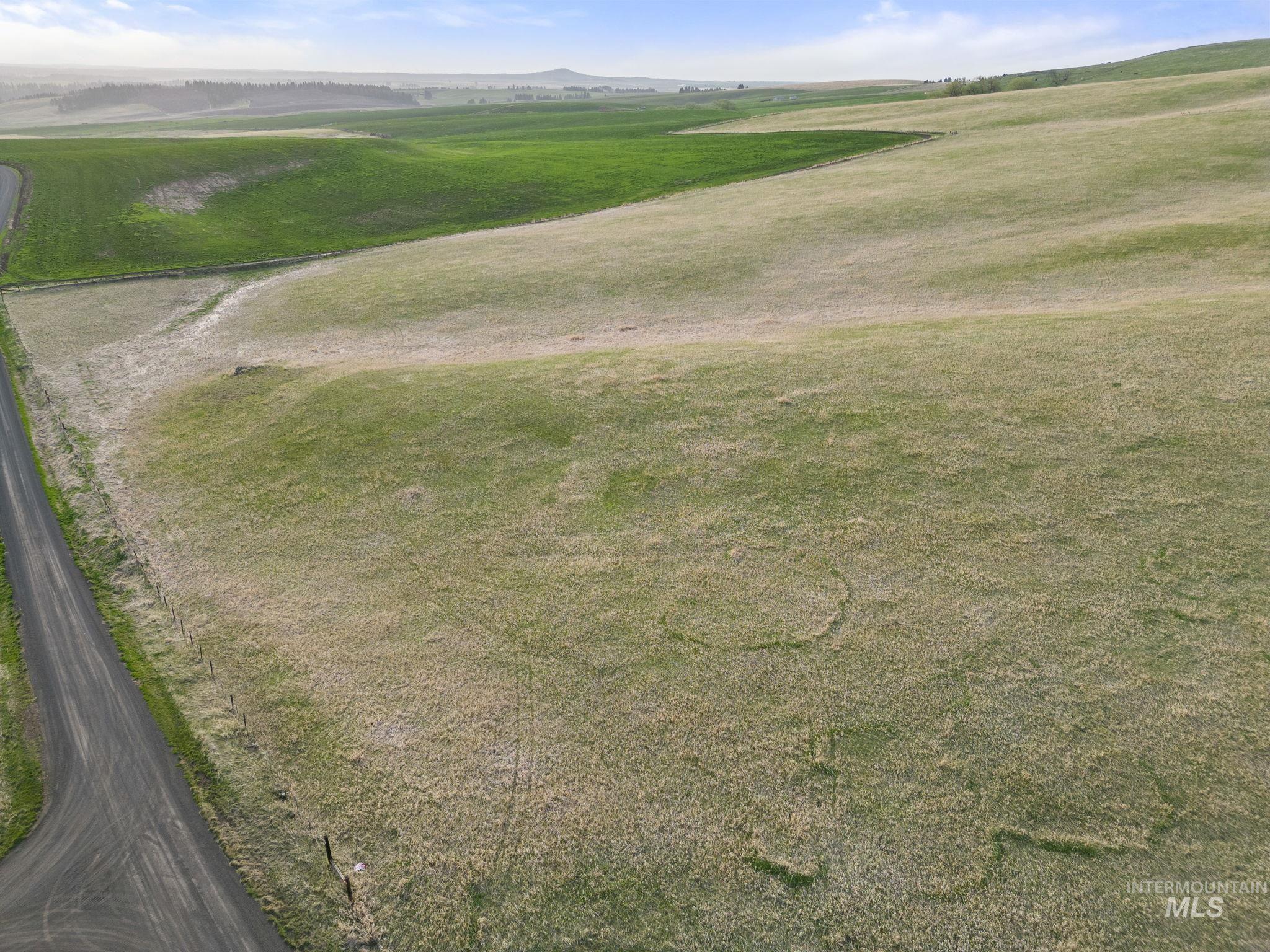 TBD Cummins RD, CottonWood, Idaho 83522, Land For Sale, Price $415,000, 98876610