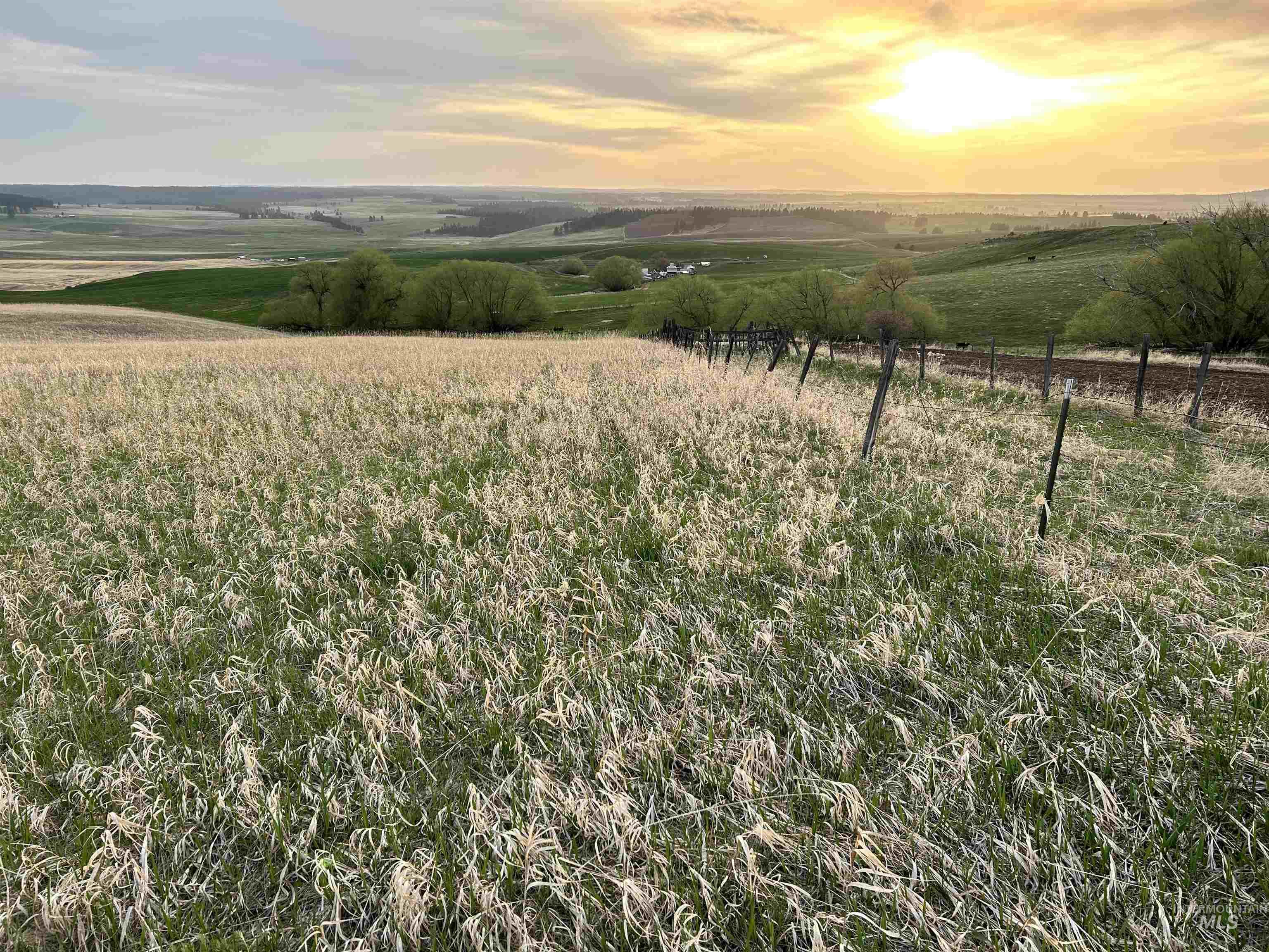 TBD Cummins RD, CottonWood, Idaho 83522, Land For Sale, Price $415,000, 98876610