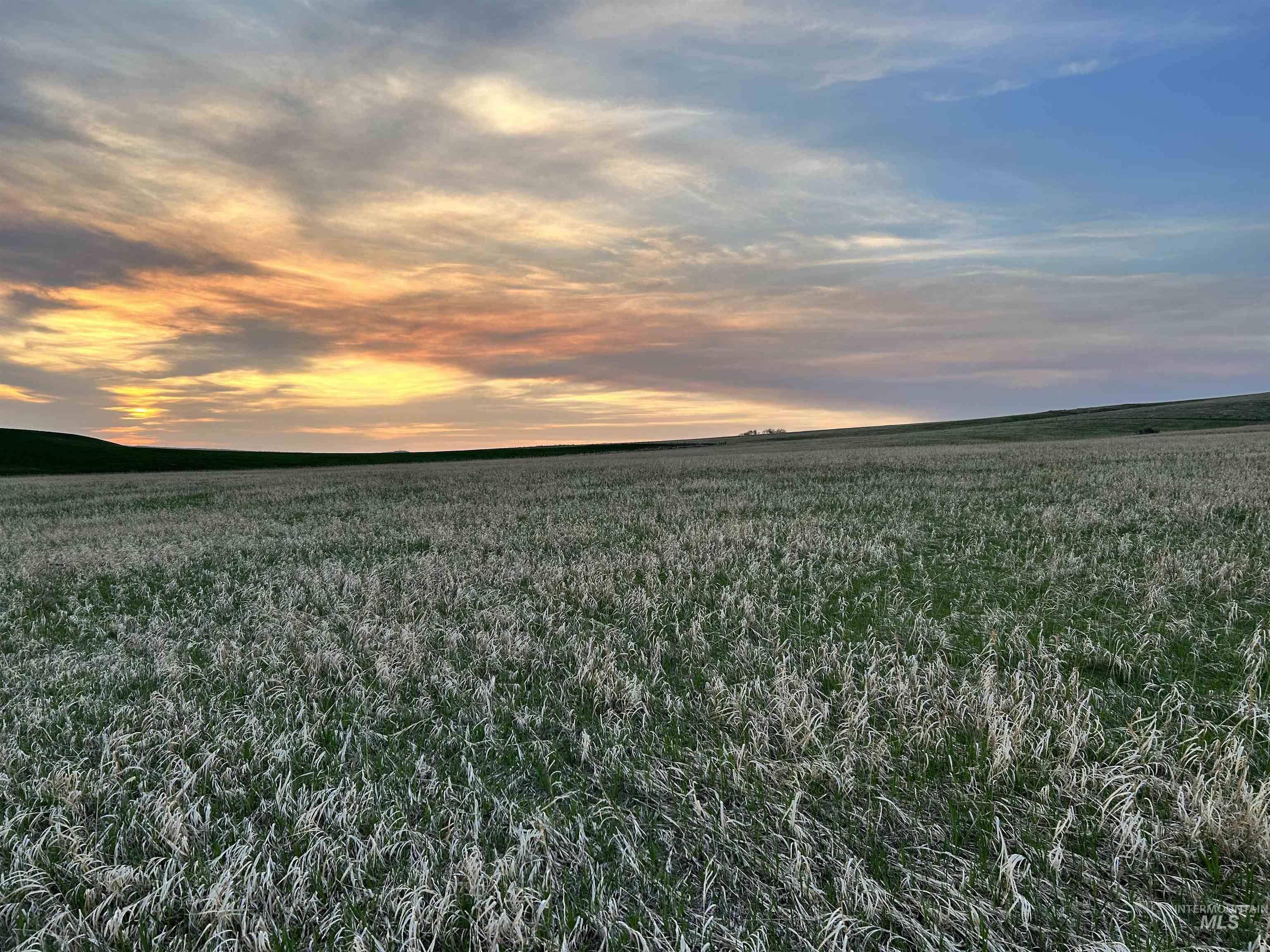 TBD Cummins RD, CottonWood, Idaho 83522, Land For Sale, Price $415,000, 98876610