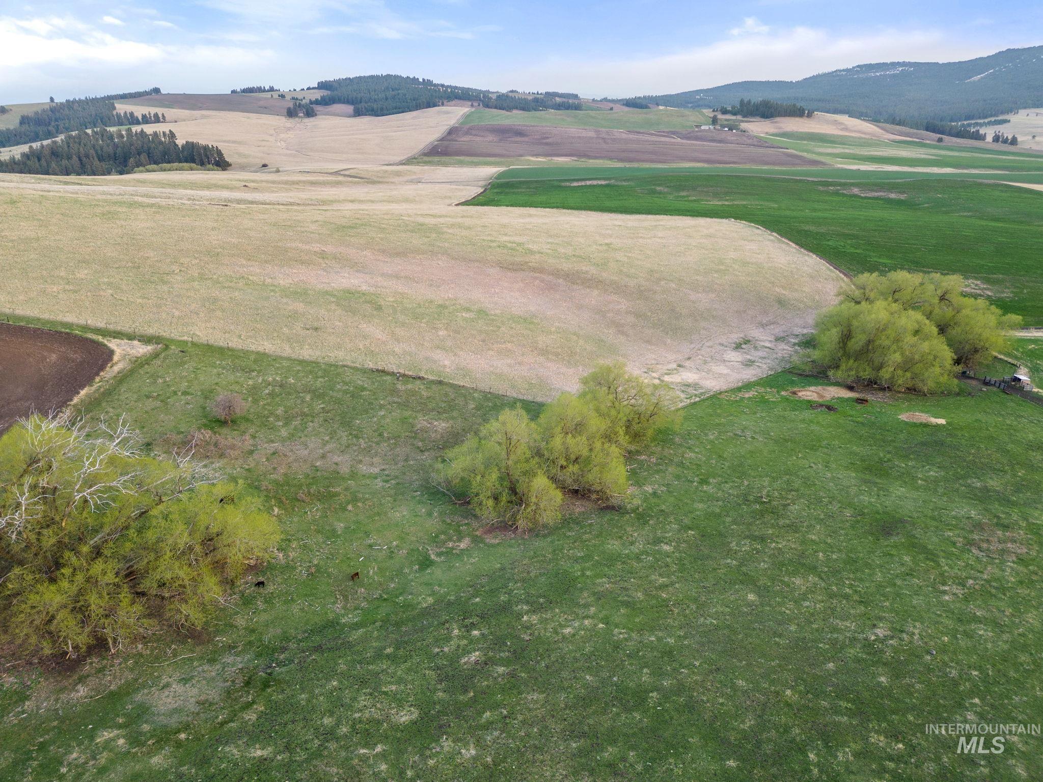 TBD Cummins RD, CottonWood, Idaho 83522, Land For Sale, Price $415,000, 98876610