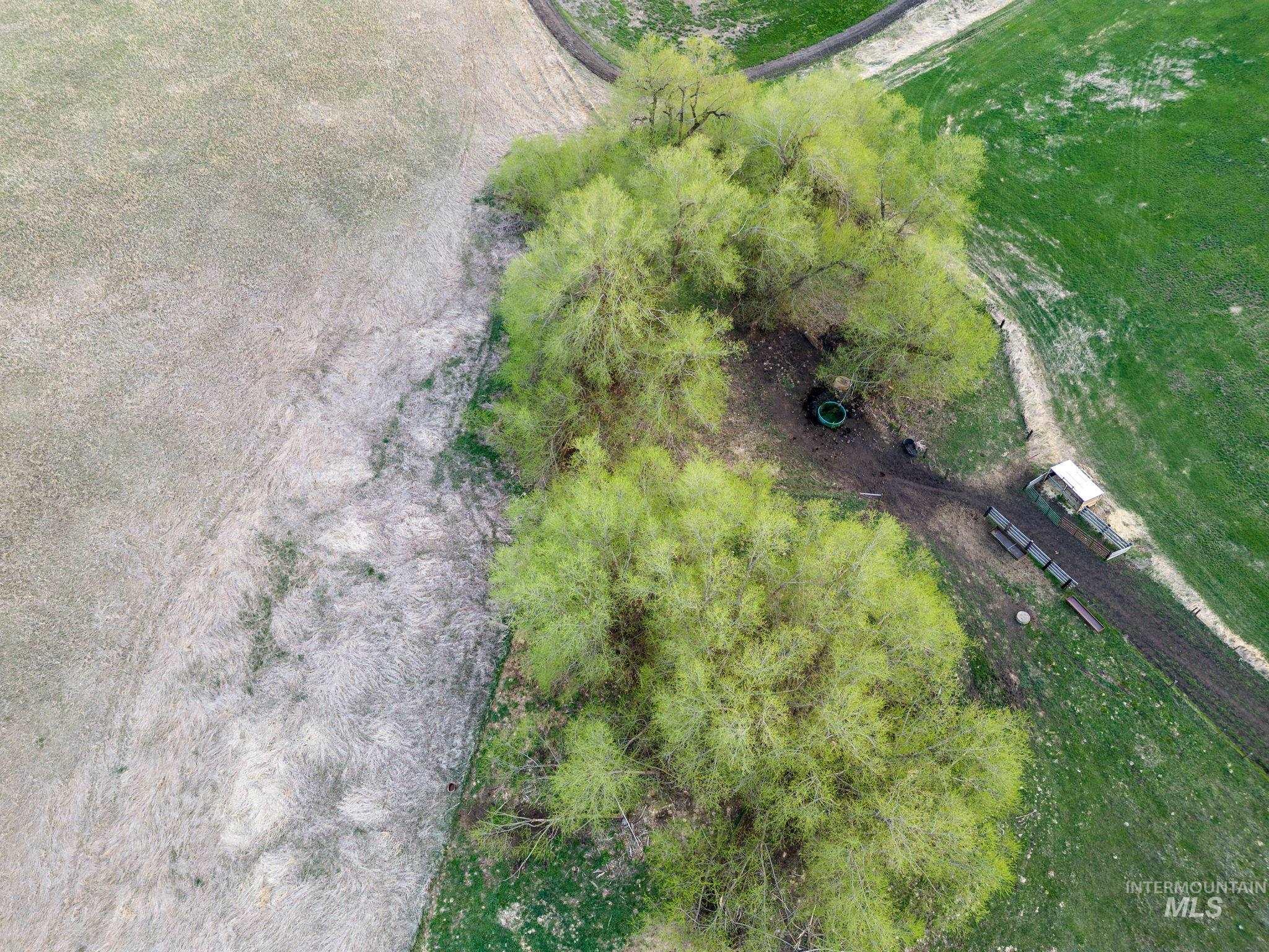 TBD Cummins RD, CottonWood, Idaho 83522, Land For Sale, Price $415,000, 98876610