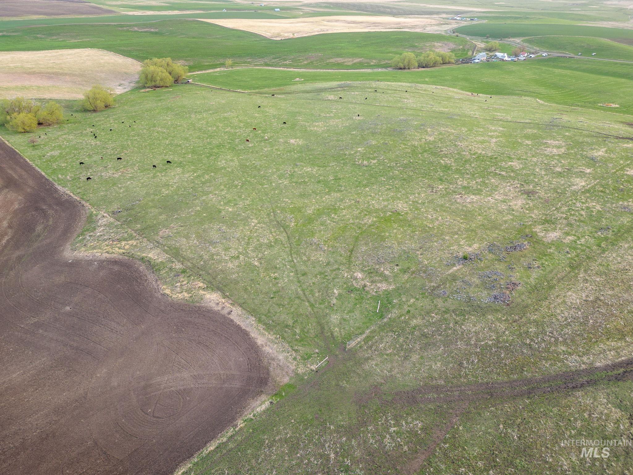 TBD Cummins RD, CottonWood, Idaho 83522, Land For Sale, Price $415,000, 98876610