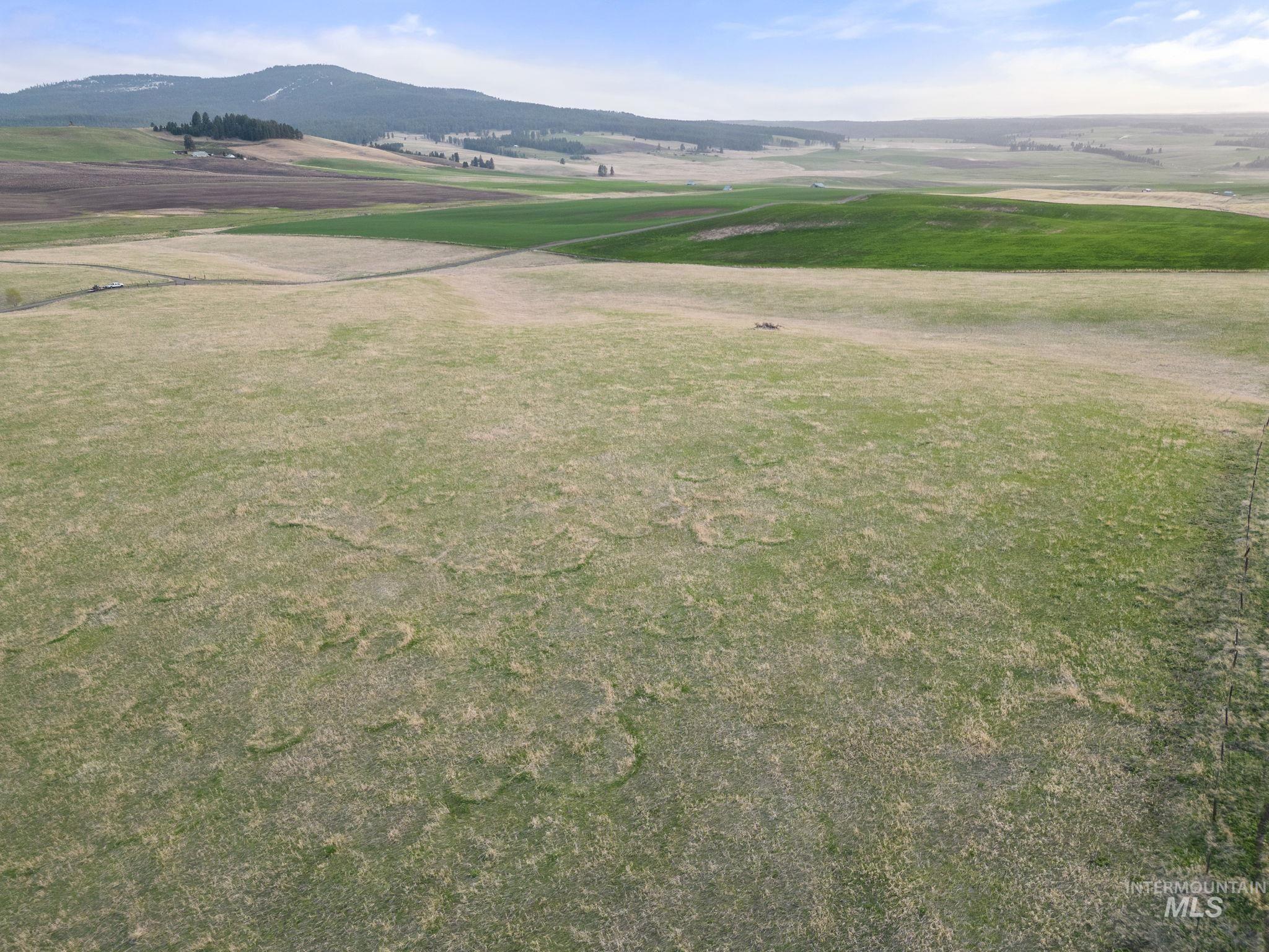 TBD Cummins RD, CottonWood, Idaho 83522, Land For Sale, Price $415,000, 98876610