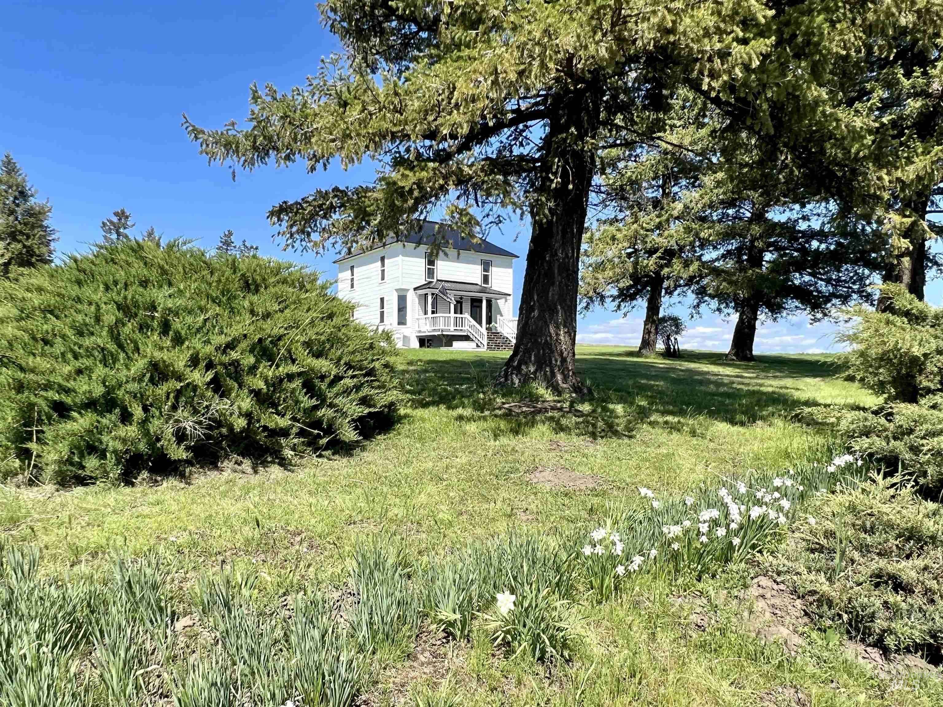 2245 HWY 62, Nezperce, Idaho 83543, 4 Bedrooms, 3 Bathrooms, Residential For Sale, Price $499,000, 98877391