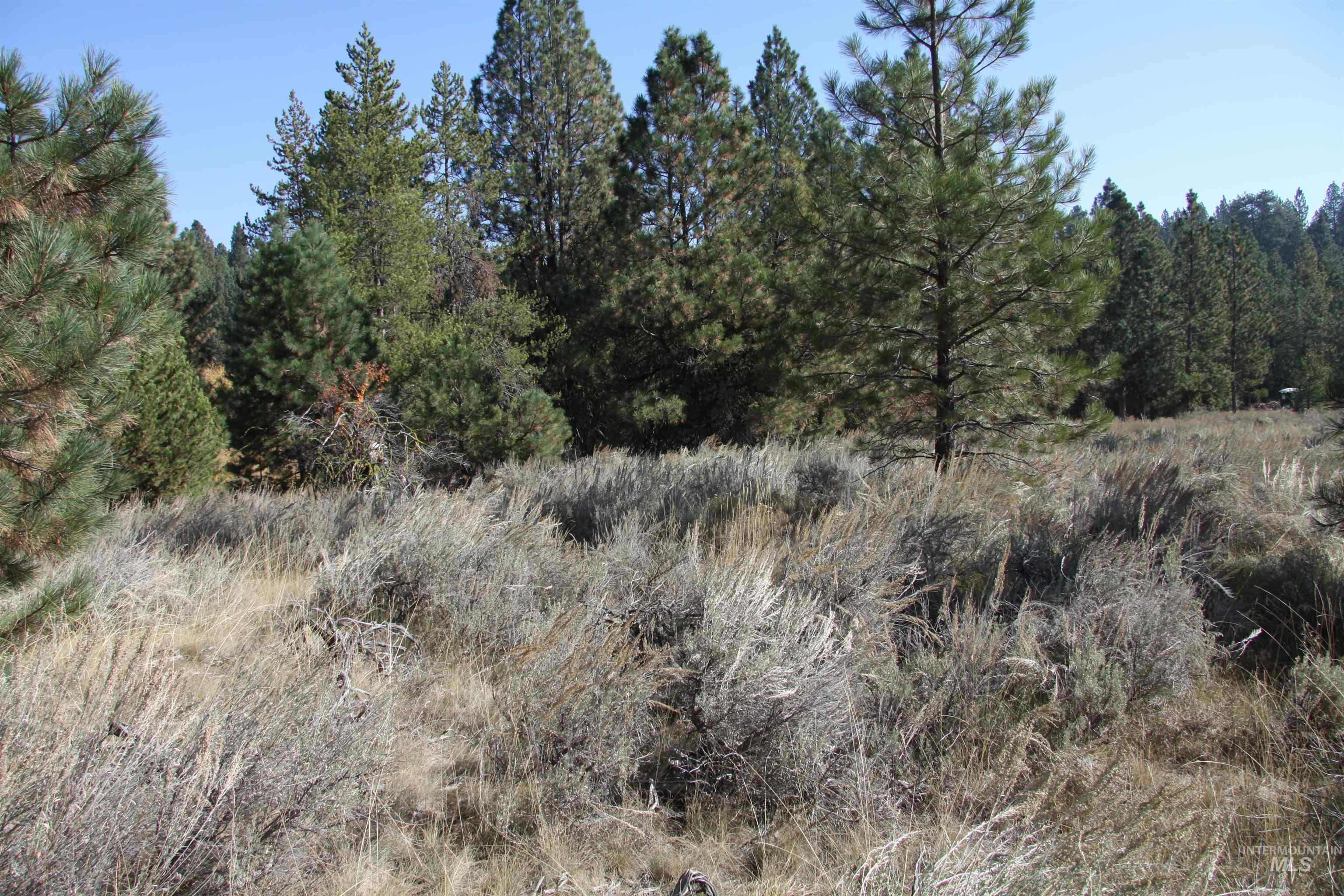 41 Vista Point Loop, Cascade, Idaho 83611, Land For Sale, Price $299,000,MLS 98877596