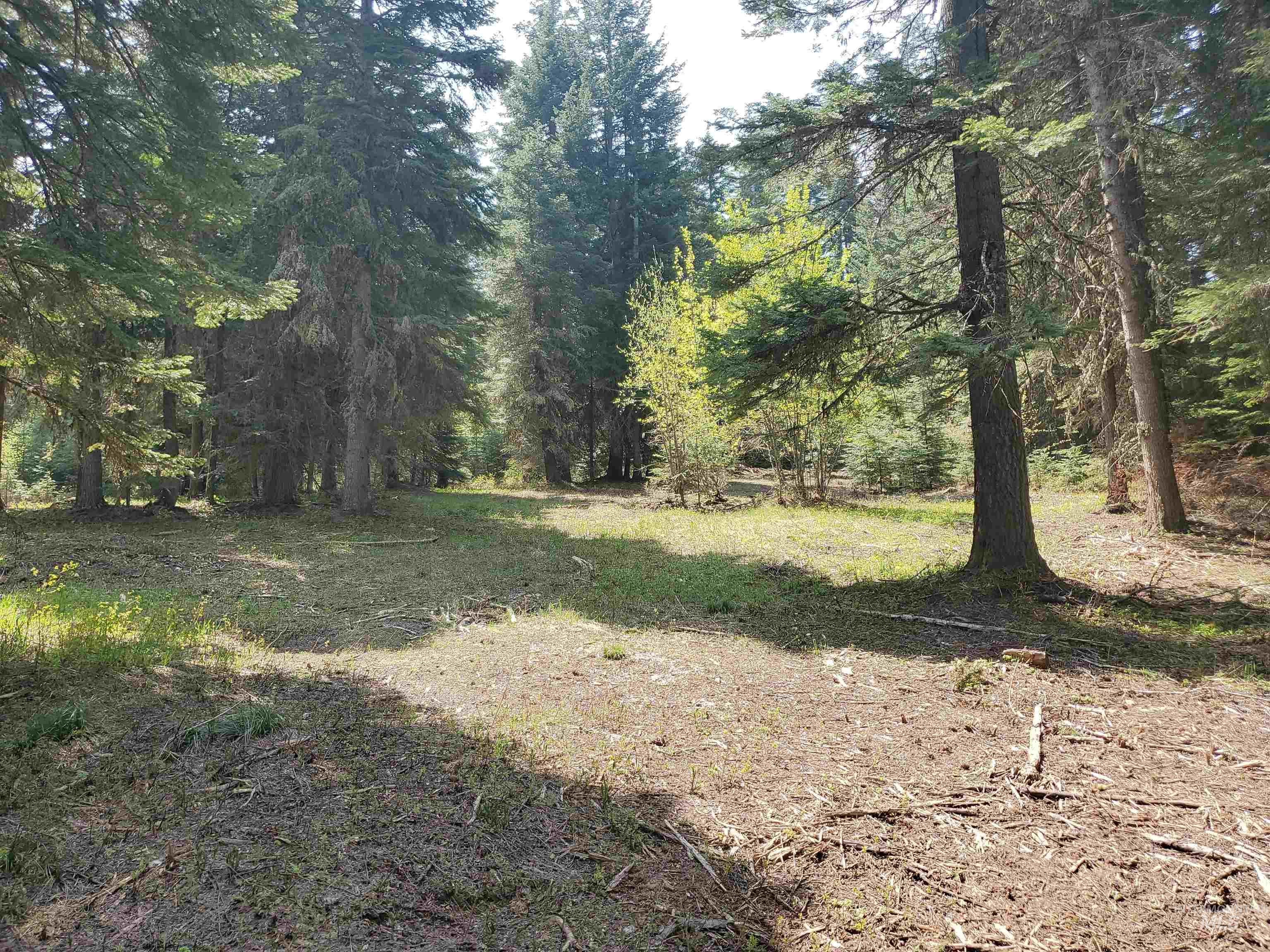 TBD OFF GRANGEVILLE SALMON RD, Grangeville, Idaho 83530, Land For Sale, Price $225,000, 98877950
