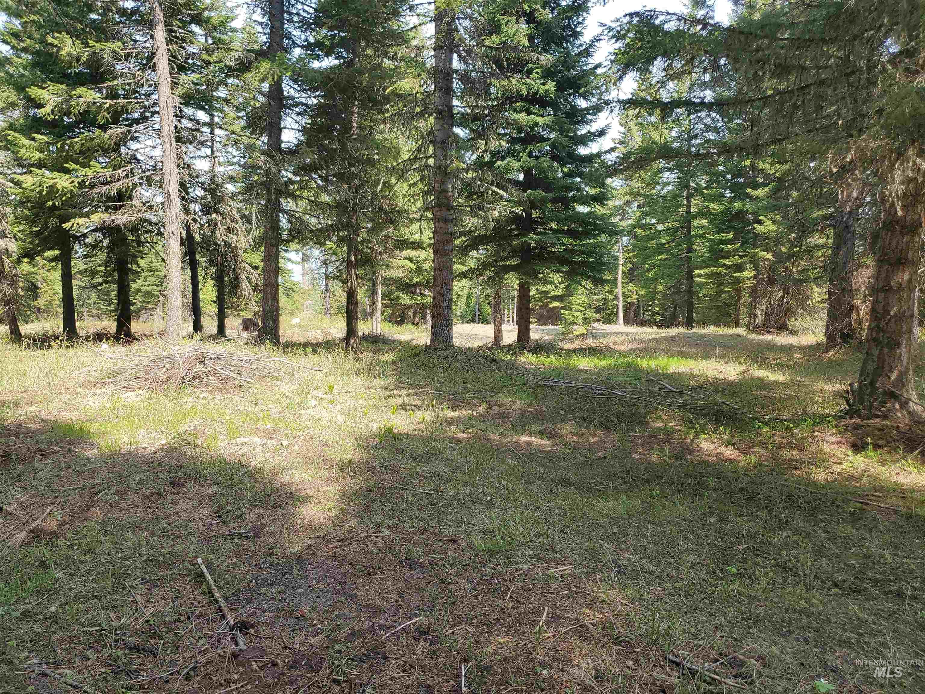 TBD OFF GRANGEVILLE SALMON RD, Grangeville, Idaho 83530, Land For Sale, Price $225,000, 98877950