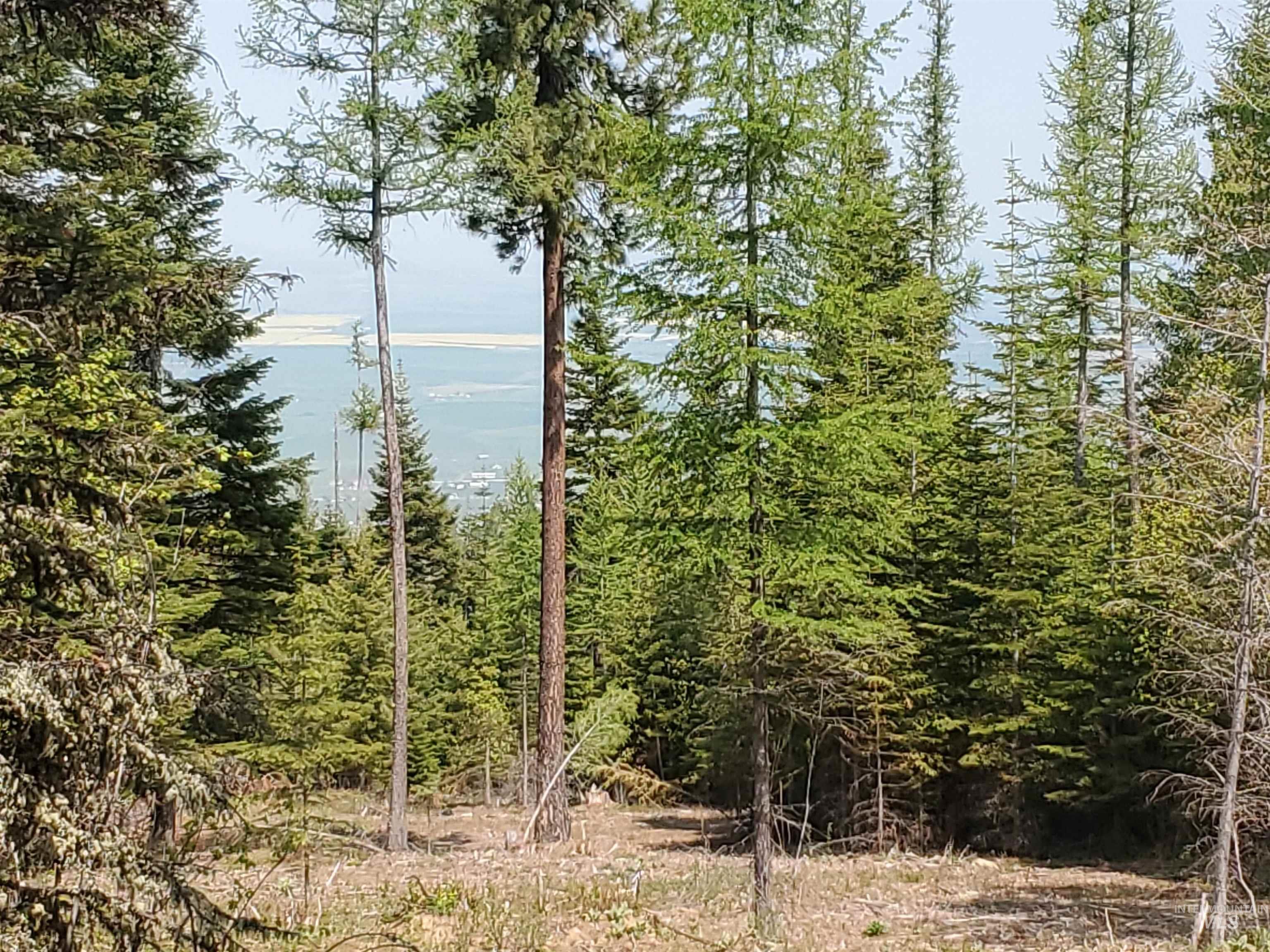 TBD OFF GRANGEVILLE SALMON RD, Grangeville, Idaho 83530, Land For Sale, Price $225,000, 98877950