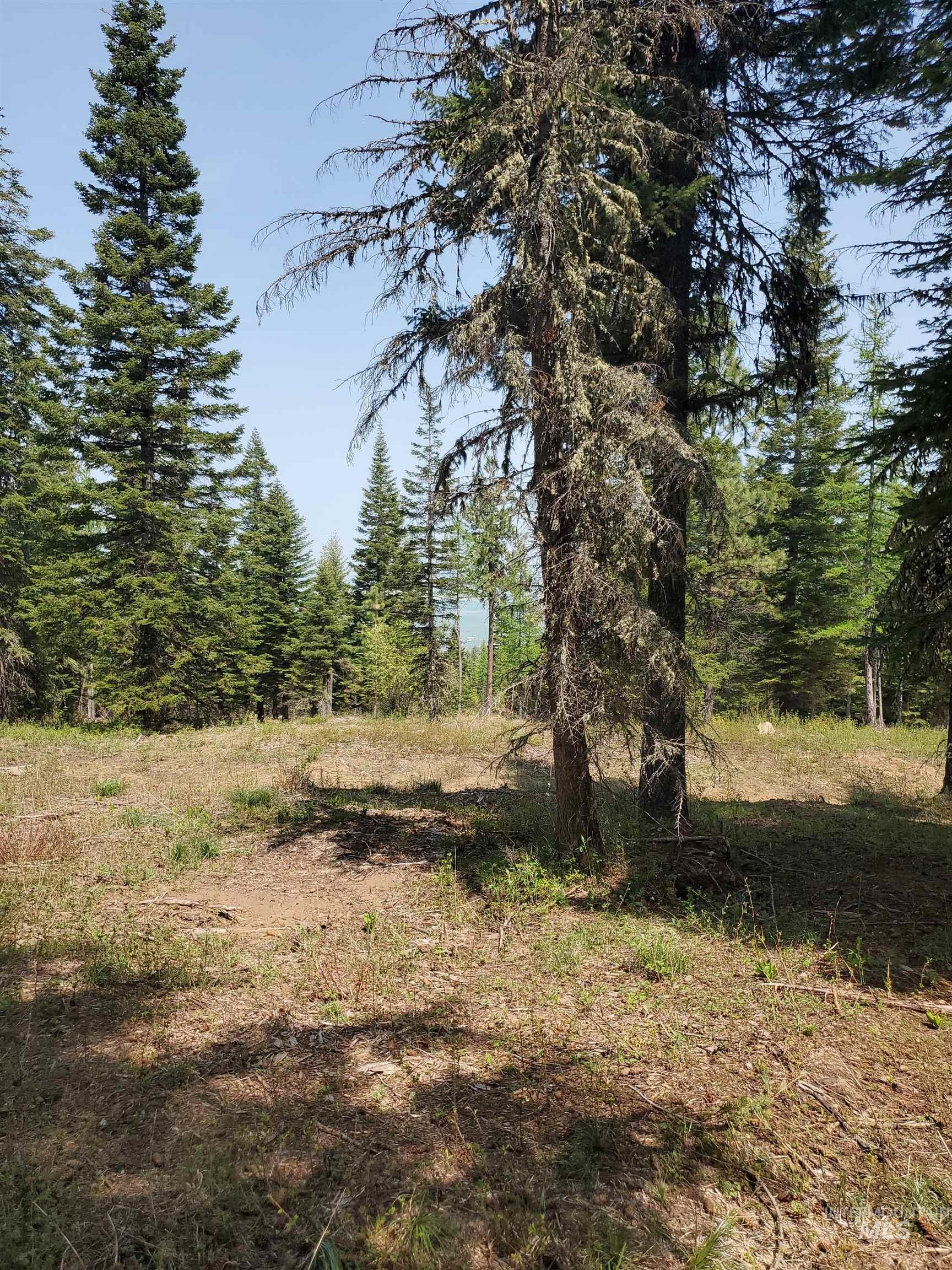 TBD OFF GRANGEVILLE SALMON RD, Grangeville, Idaho 83530, Land For Sale, Price $225,000, 98877950