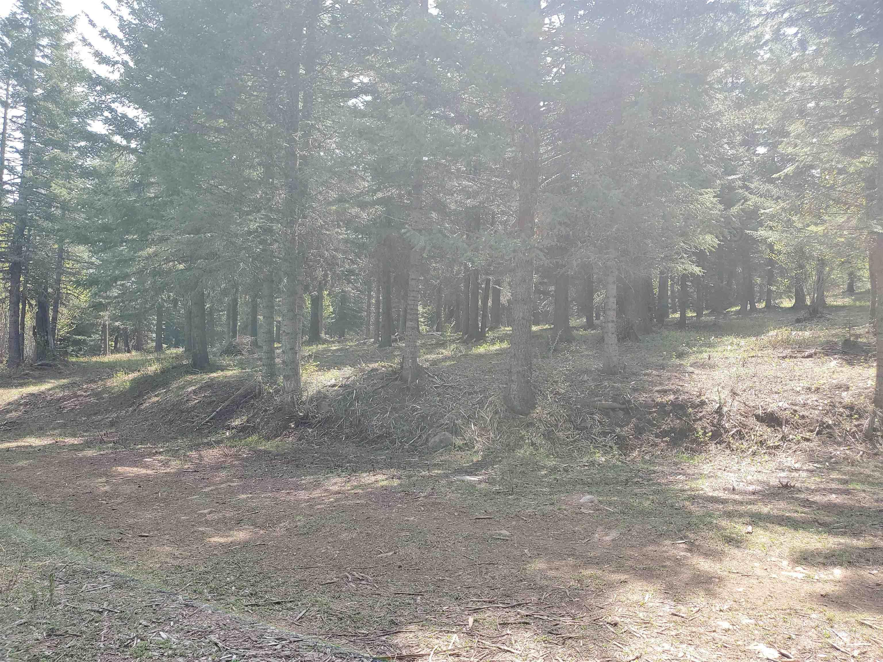 TBD OFF GRANGEVILLE SALMON RD, Grangeville, Idaho 83530, Land For Sale, Price $225,000, 98877950