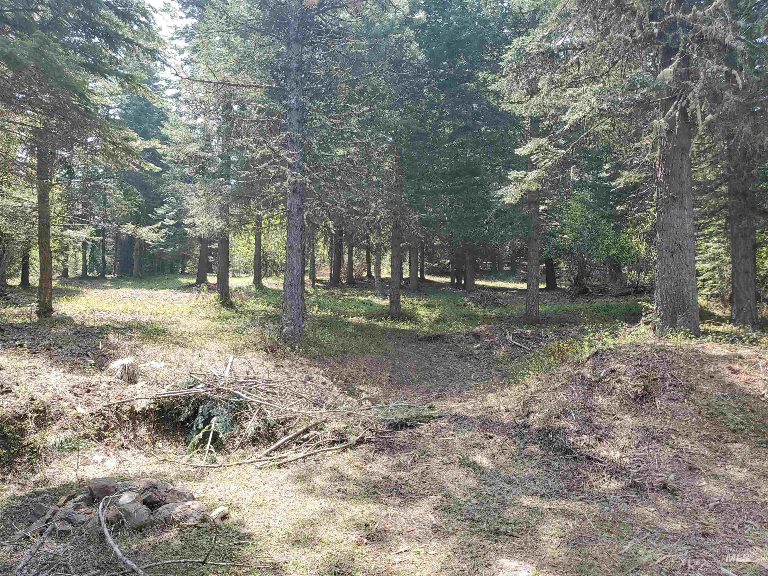 TBD OFF GRANGEVILLE SALMON RD, Grangeville, Idaho 83530, Land For Sale, Price $225,000, 98877950