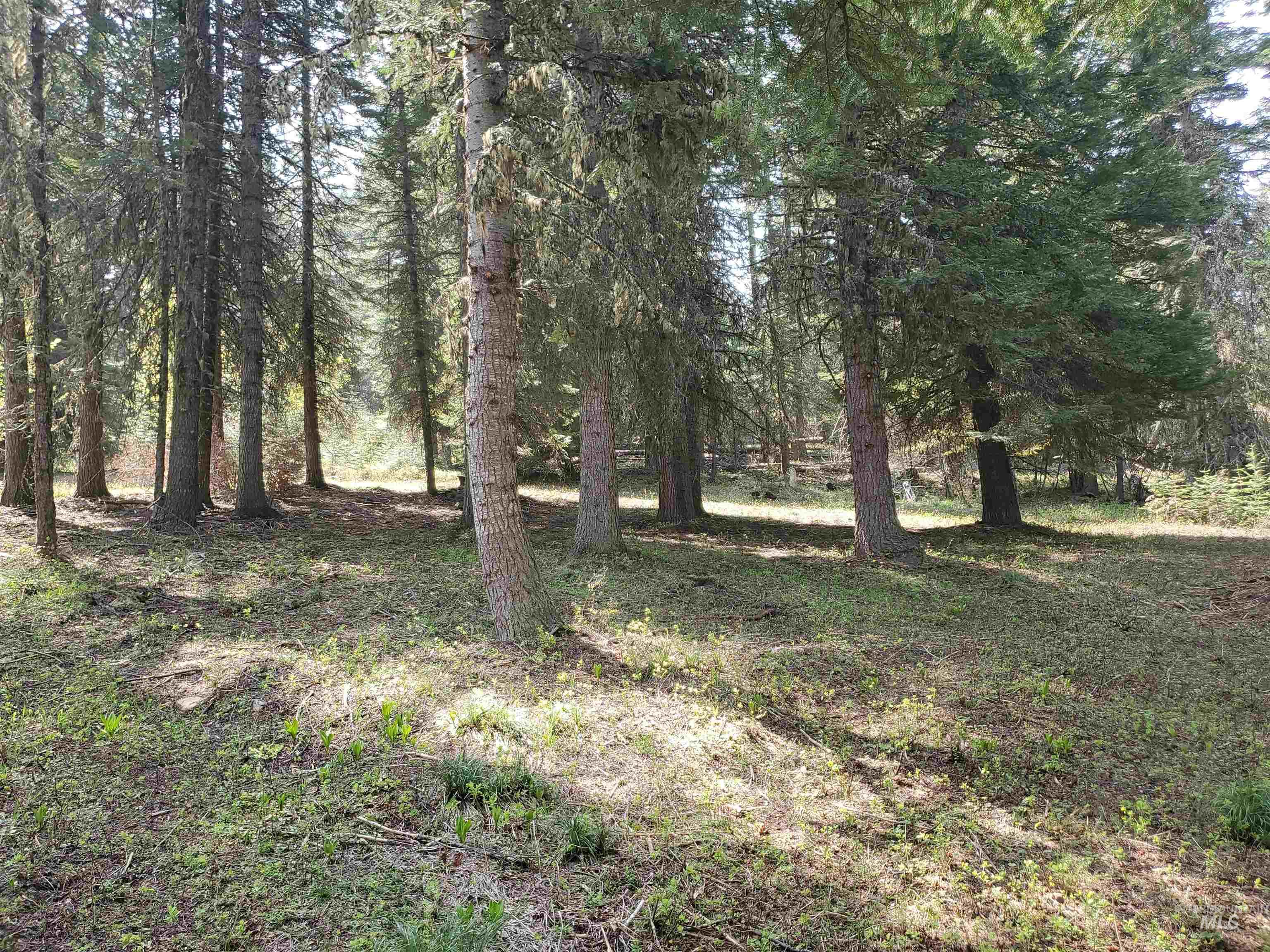 TBD OFF GRANGEVILLE SALMON RD, Grangeville, Idaho 83530, Land For Sale, Price $225,000, 98877950