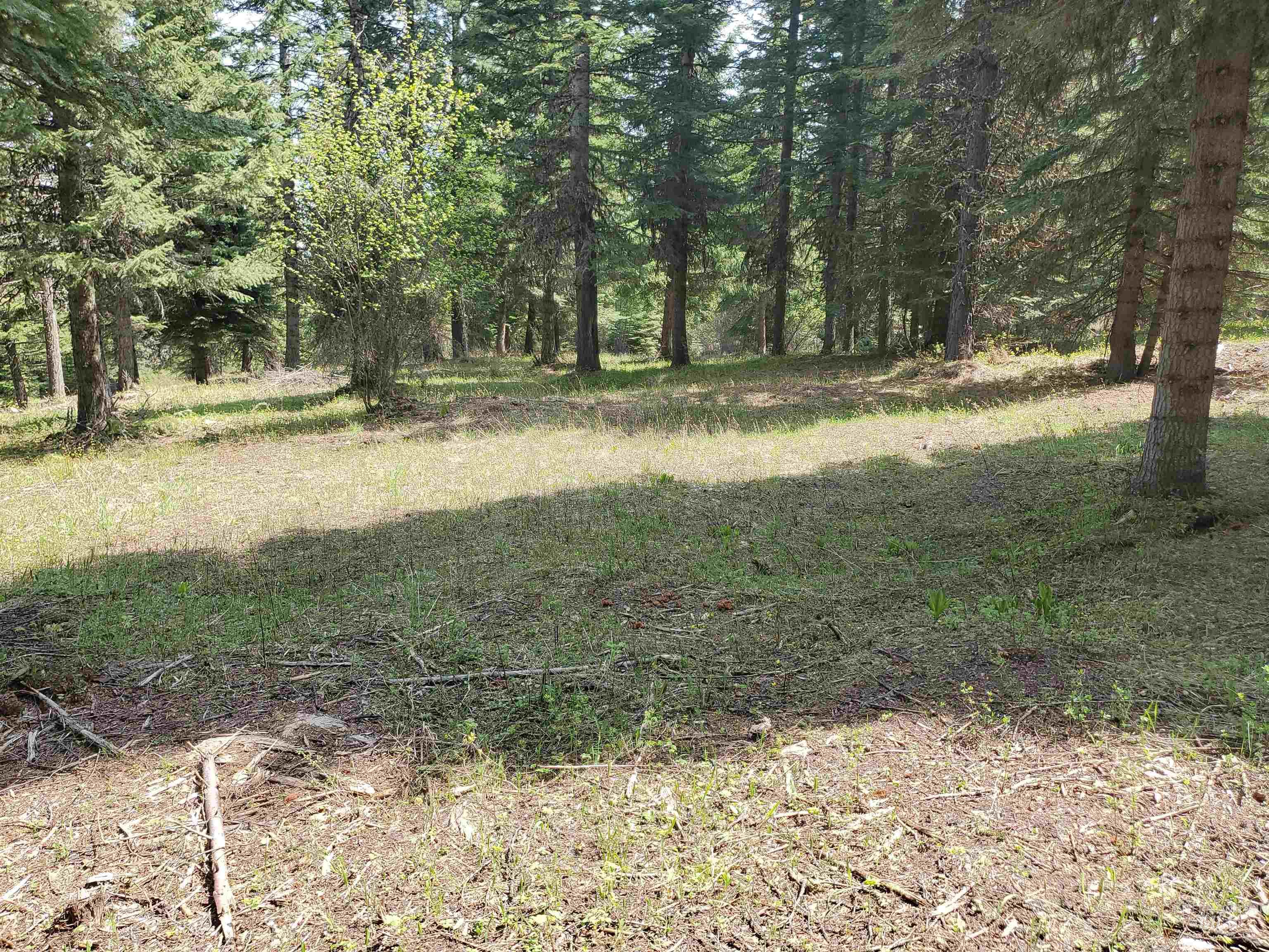 TBD OFF GRANGEVILLE SALMON RD, Grangeville, Idaho 83530, Land For Sale, Price $225,000, 98877950