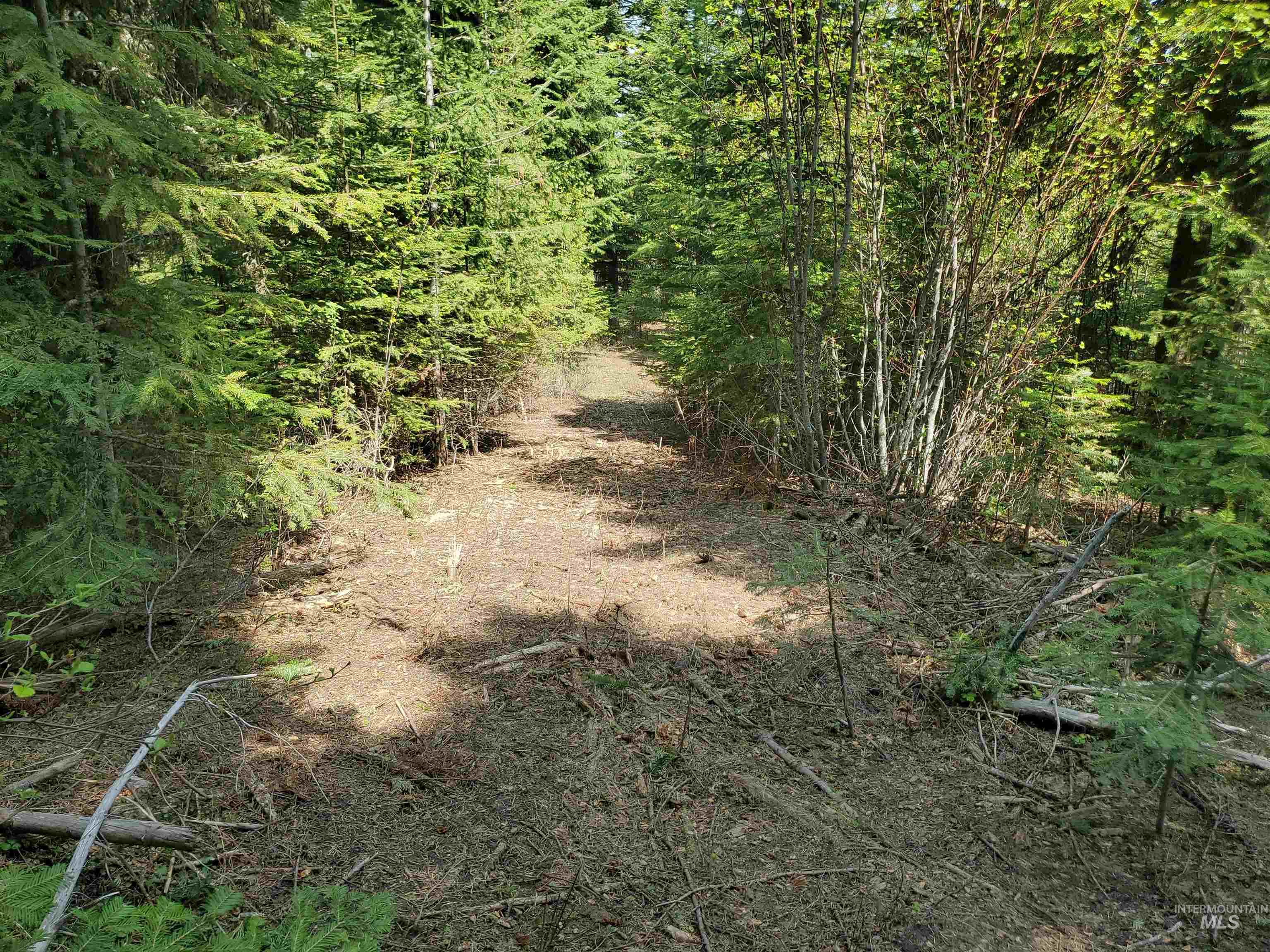 TBD OFF GRANGEVILLE SALMON RD, Grangeville, Idaho 83530, Land For Sale, Price $225,000, 98877950