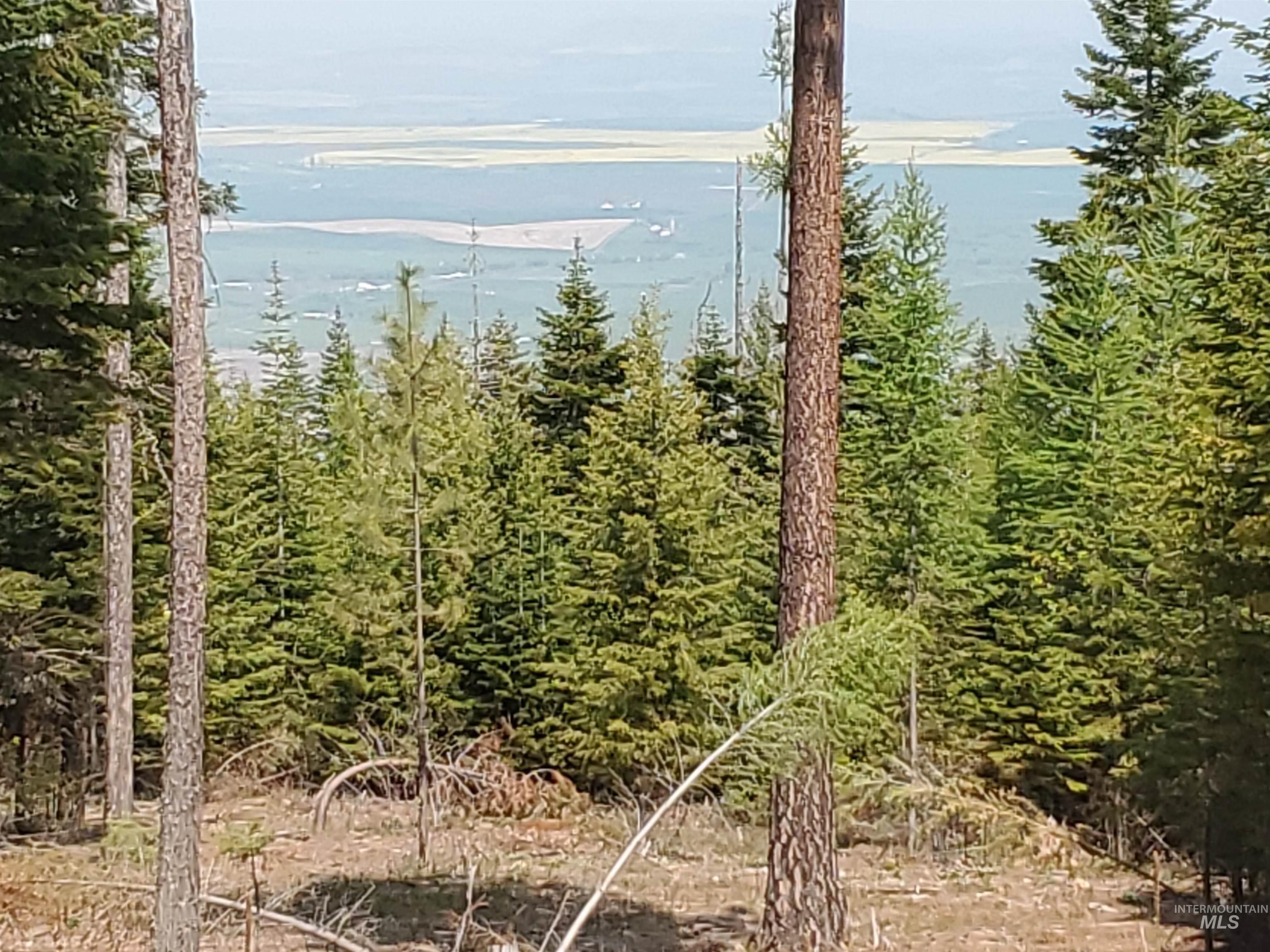 TBD OFF GRANGEVILLE SALMON RD, Grangeville, Idaho 83530, Land For Sale, Price $225,000, 98877950