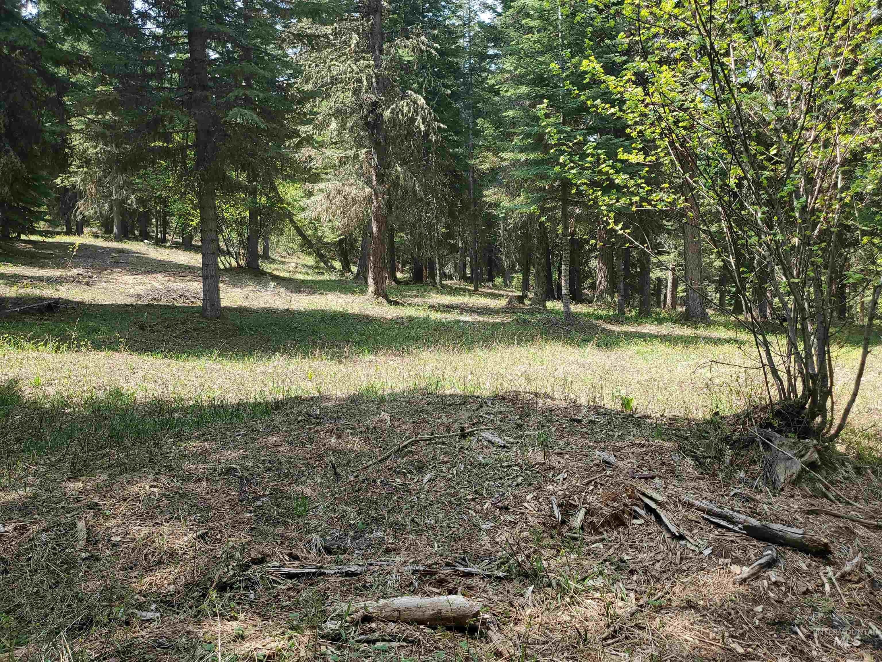 TBD OFF GRANGEVILLE SALMON RD, Grangeville, Idaho 83530, Land For Sale, Price $225,000, 98877950