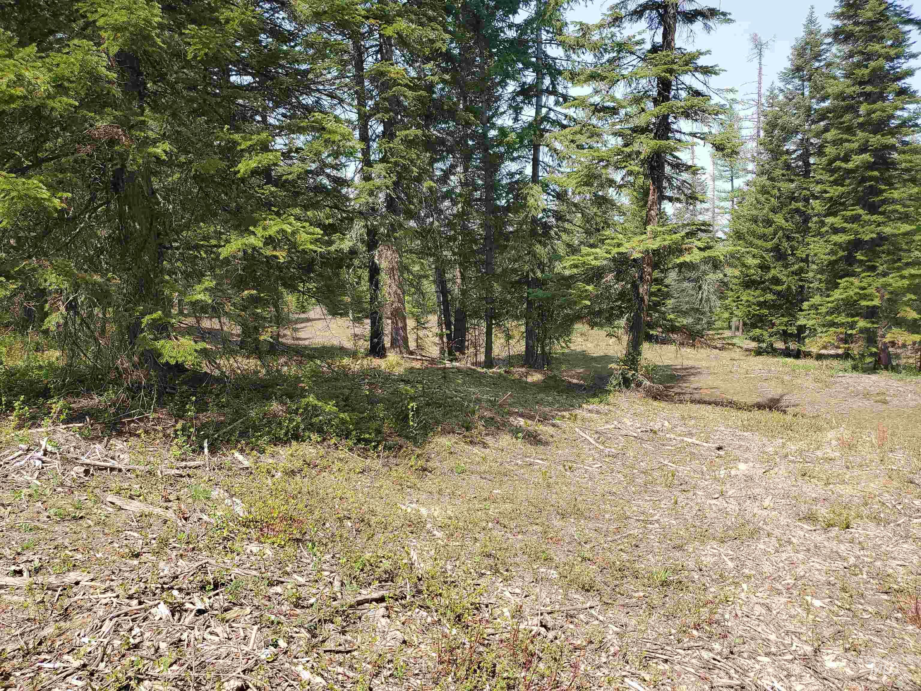 TBD OFF GRANGEVILLE SALMON RD, Grangeville, Idaho 83530, Land For Sale, Price $225,000, 98877950
