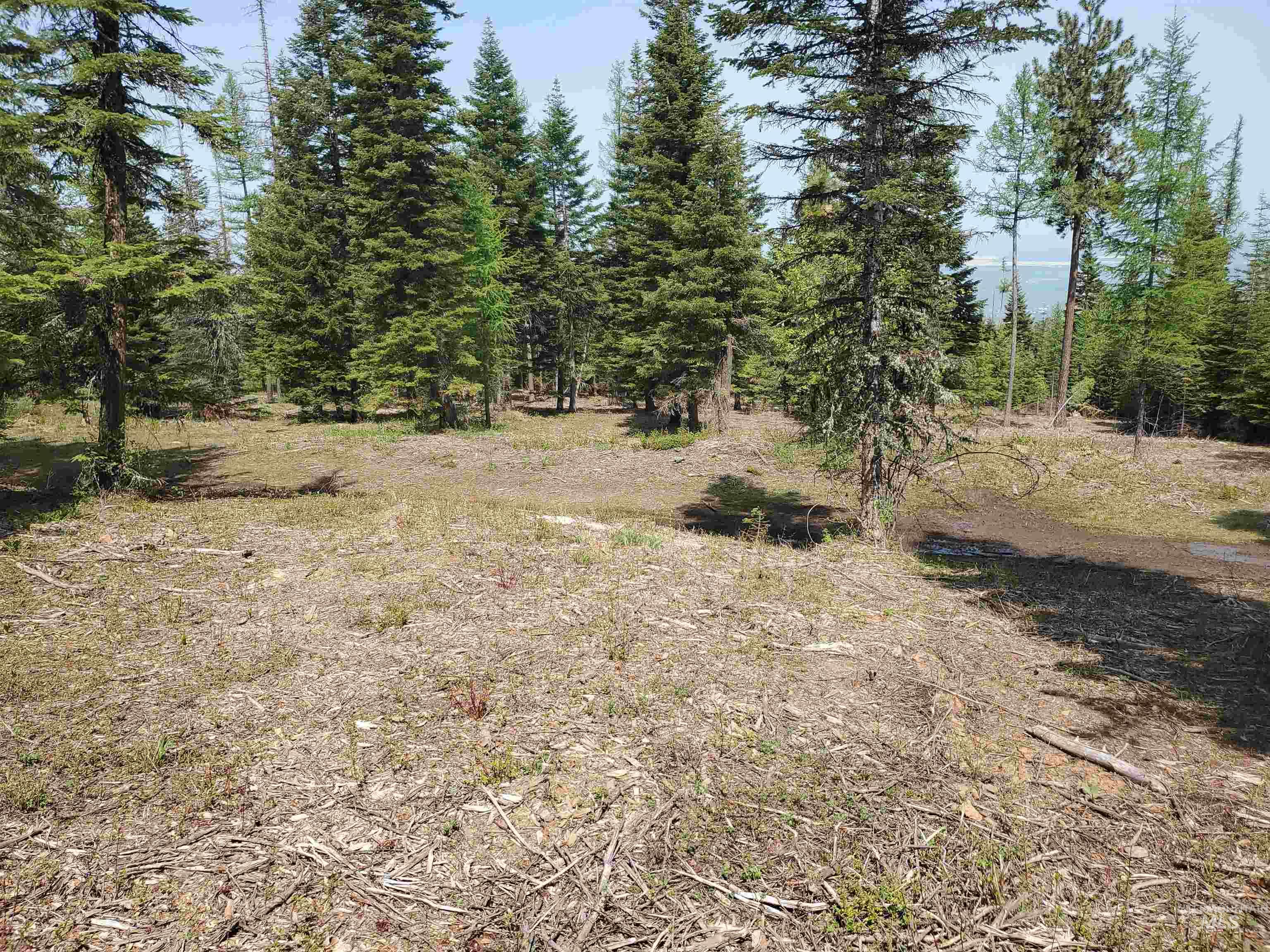 TBD OFF GRANGEVILLE SALMON RD, Grangeville, Idaho 83530, Land For Sale, Price $225,000, 98877950