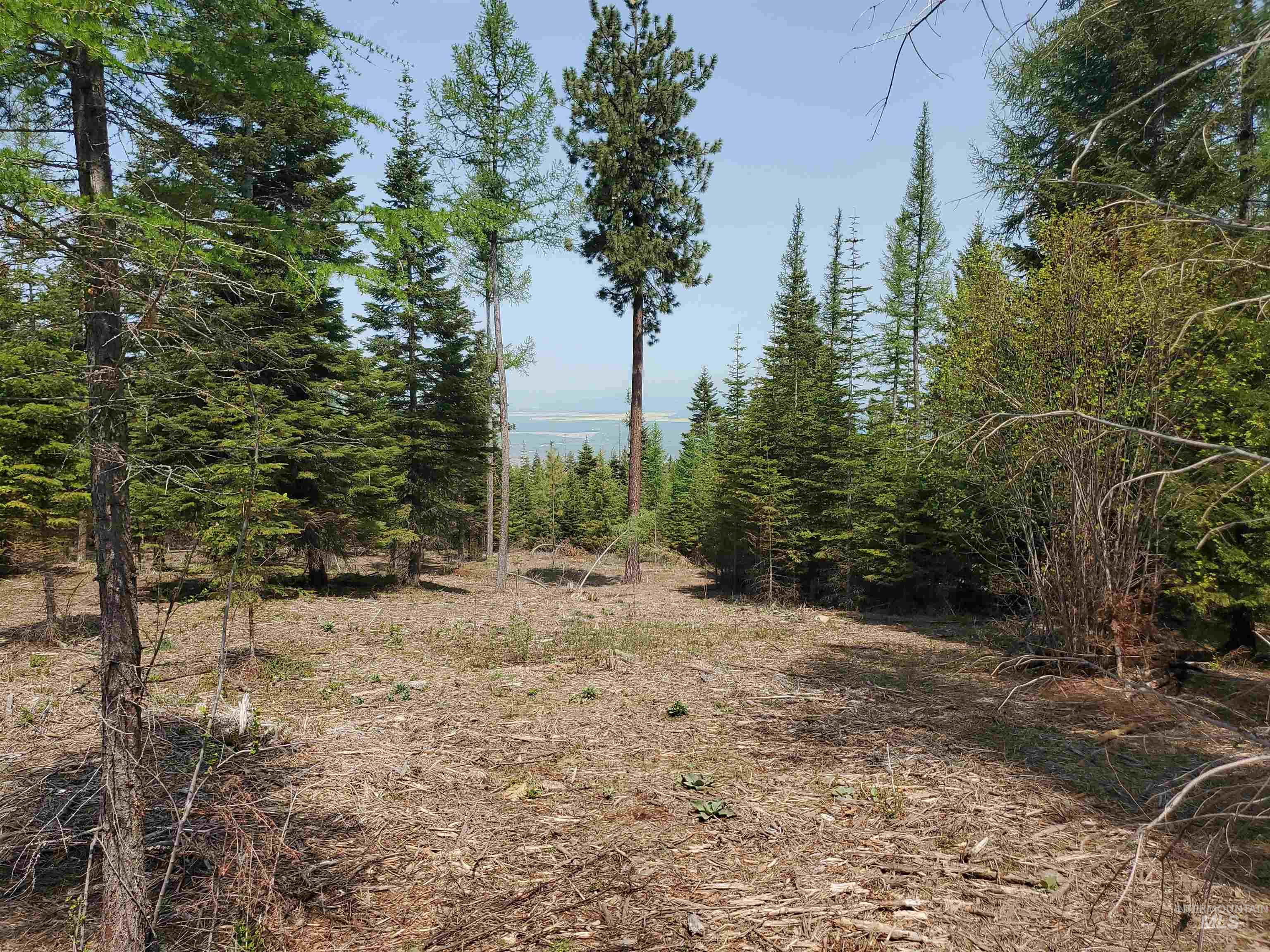 TBD OFF GRANGEVILLE SALMON RD, Grangeville, Idaho 83530, Land For Sale, Price $225,000, 98877950
