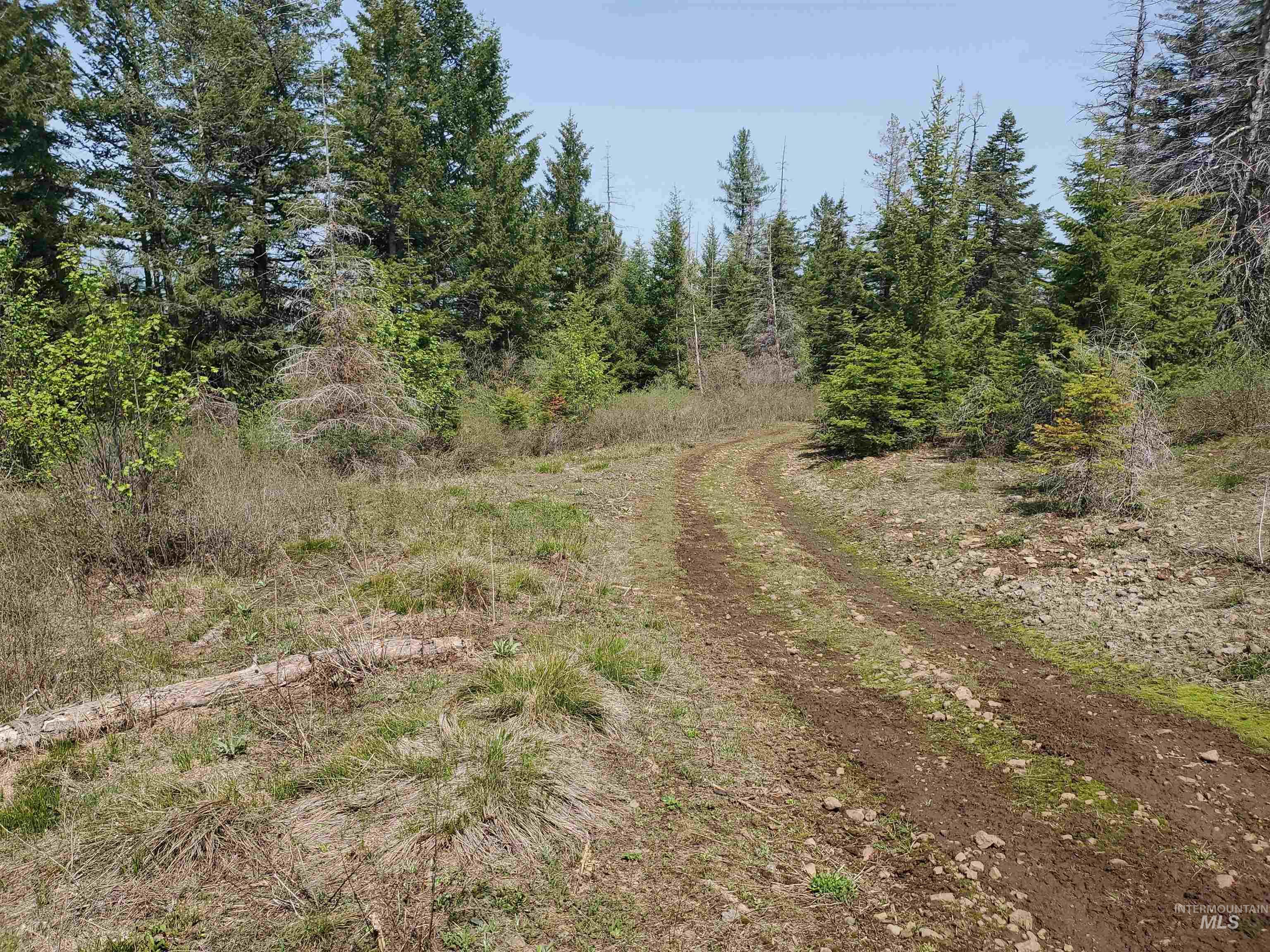 TBD OFF GRANGEVILLE SALMON RD, Grangeville, Idaho 83530, Land For Sale, Price $225,000, 98877950