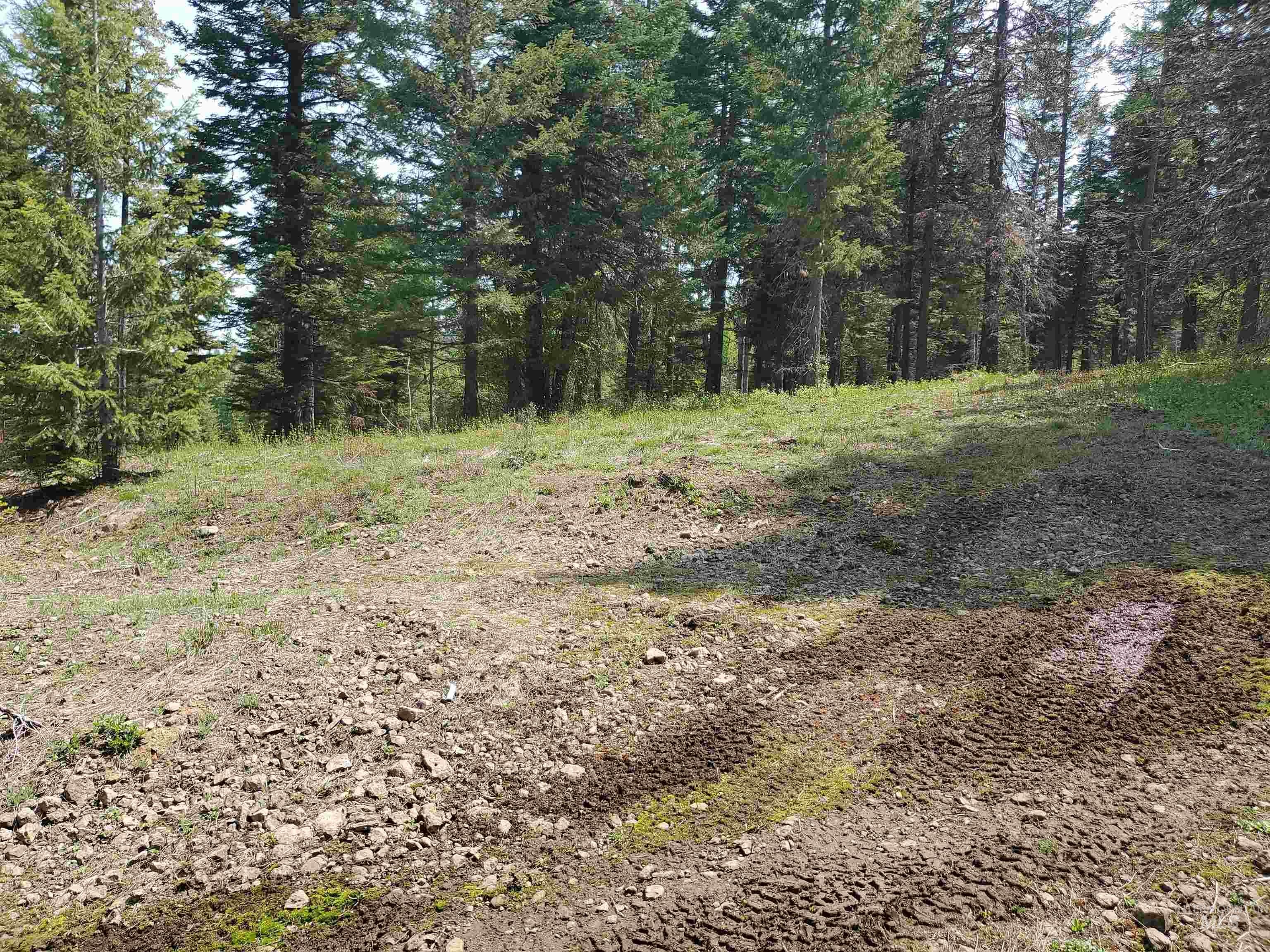 TBD OFF GRANGEVILLE SALMON RD, Grangeville, Idaho 83530, Land For Sale, Price $225,000, 98877950