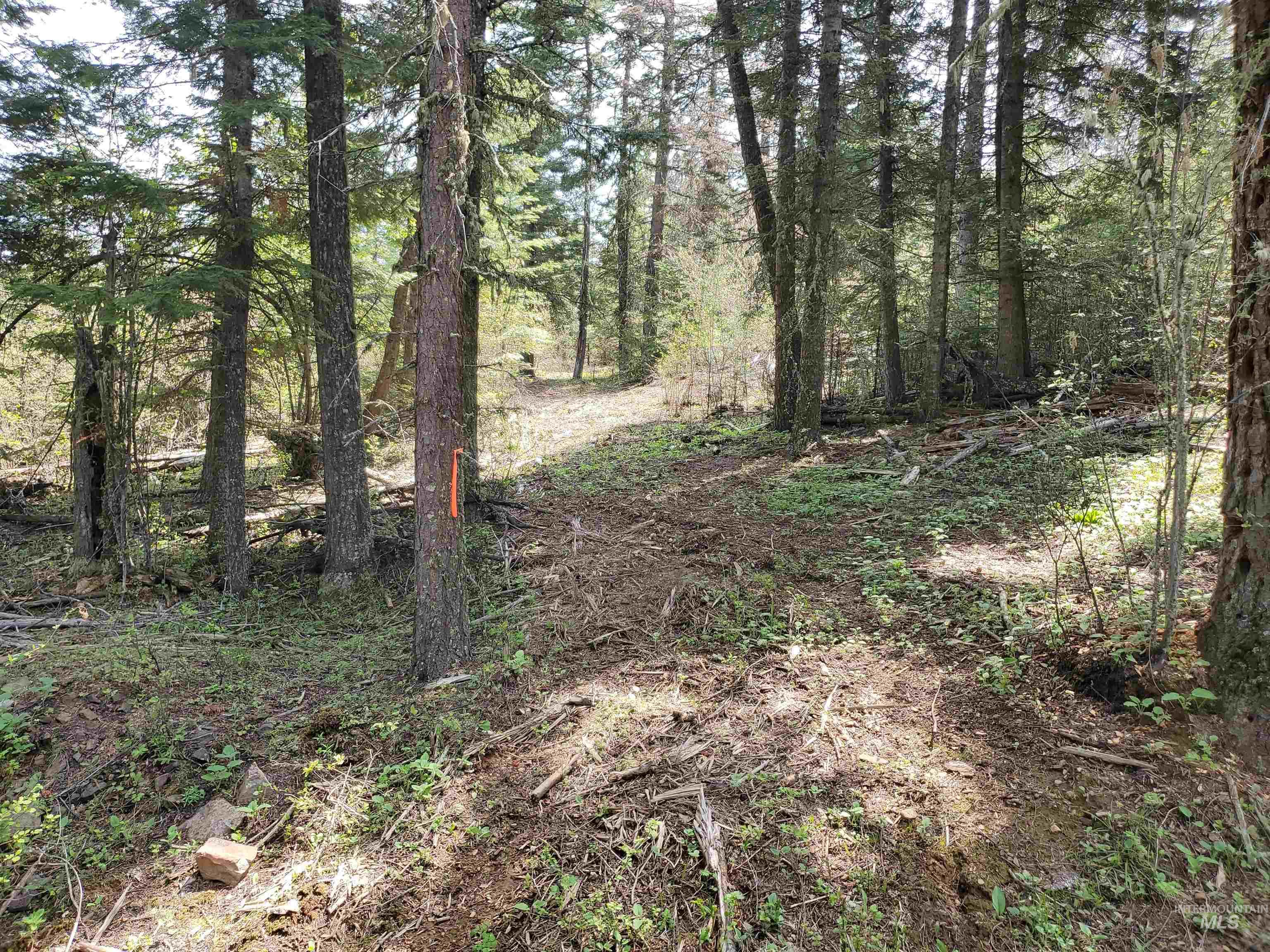 TBD OFF GRANGEVILLE SALMON RD, Grangeville, Idaho 83530, Land For Sale, Price $225,000, 98877950