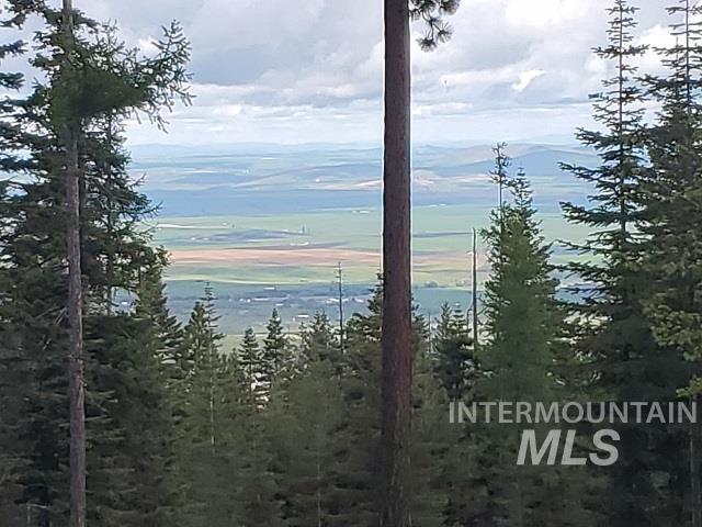 TBD OFF GRANGEVILLE SALMON RD, Grangeville, Idaho 83530, Land For Sale, Price $225,000, 98877950