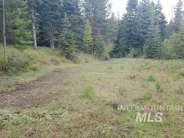 TBD OFF GRANGEVILLE SALMON RD, Grangeville, Idaho 83530, Land For Sale, Price $225,000, 98877950
