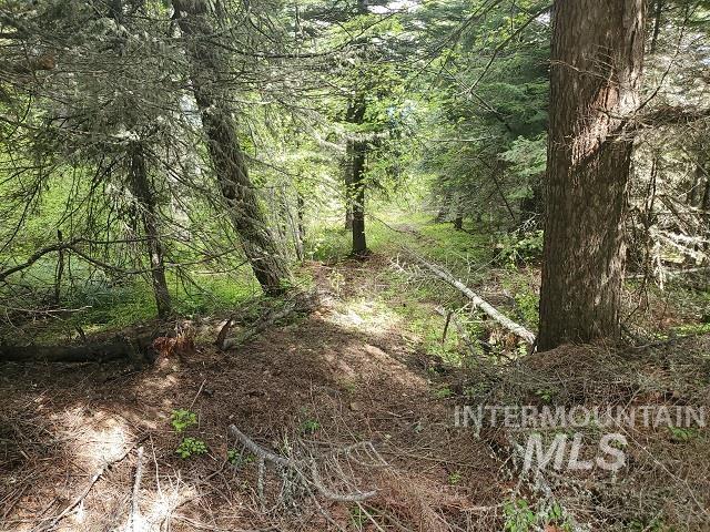 TBD OFF GRANGEVILLE SALMON RD, Grangeville, Idaho 83530, Land For Sale, Price $225,000, 98877950