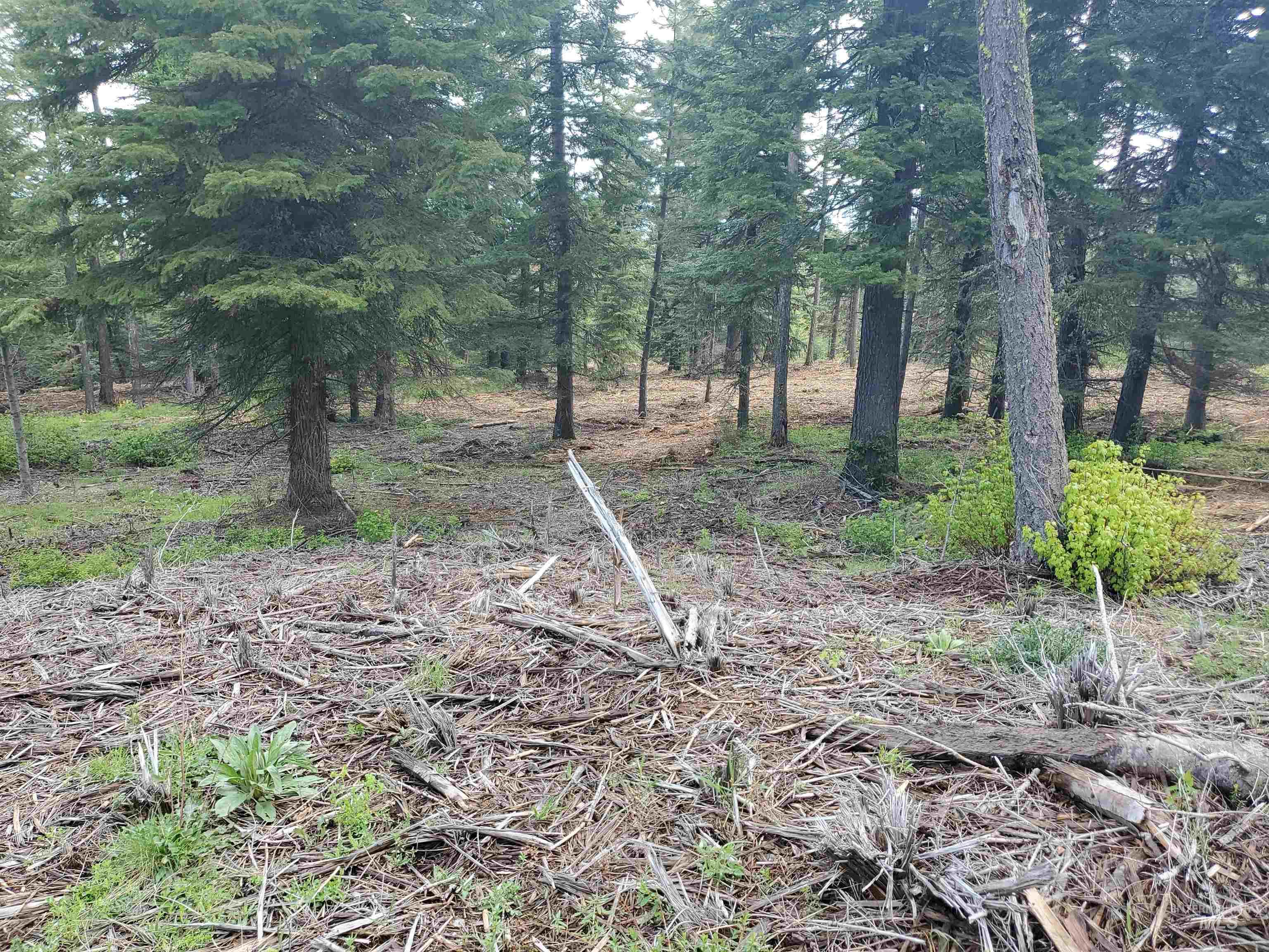 TBD OFF GRANGEVILLE SALMON RD, Grangeville, Idaho 83530, Land For Sale, Price $225,000, 98877950