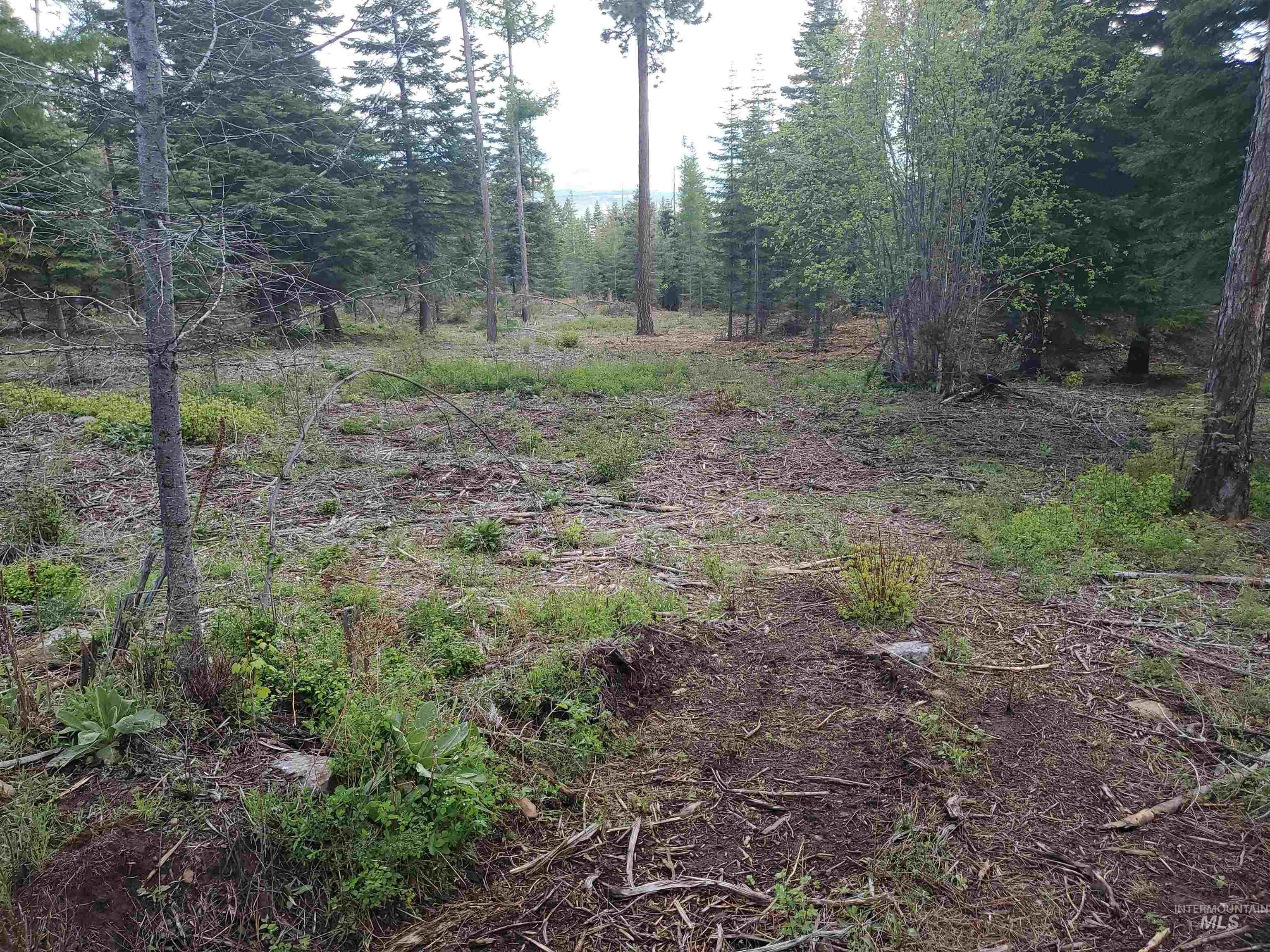 TBD OFF GRANGEVILLE SALMON RD, Grangeville, Idaho 83530, Land For Sale, Price $225,000, 98877950