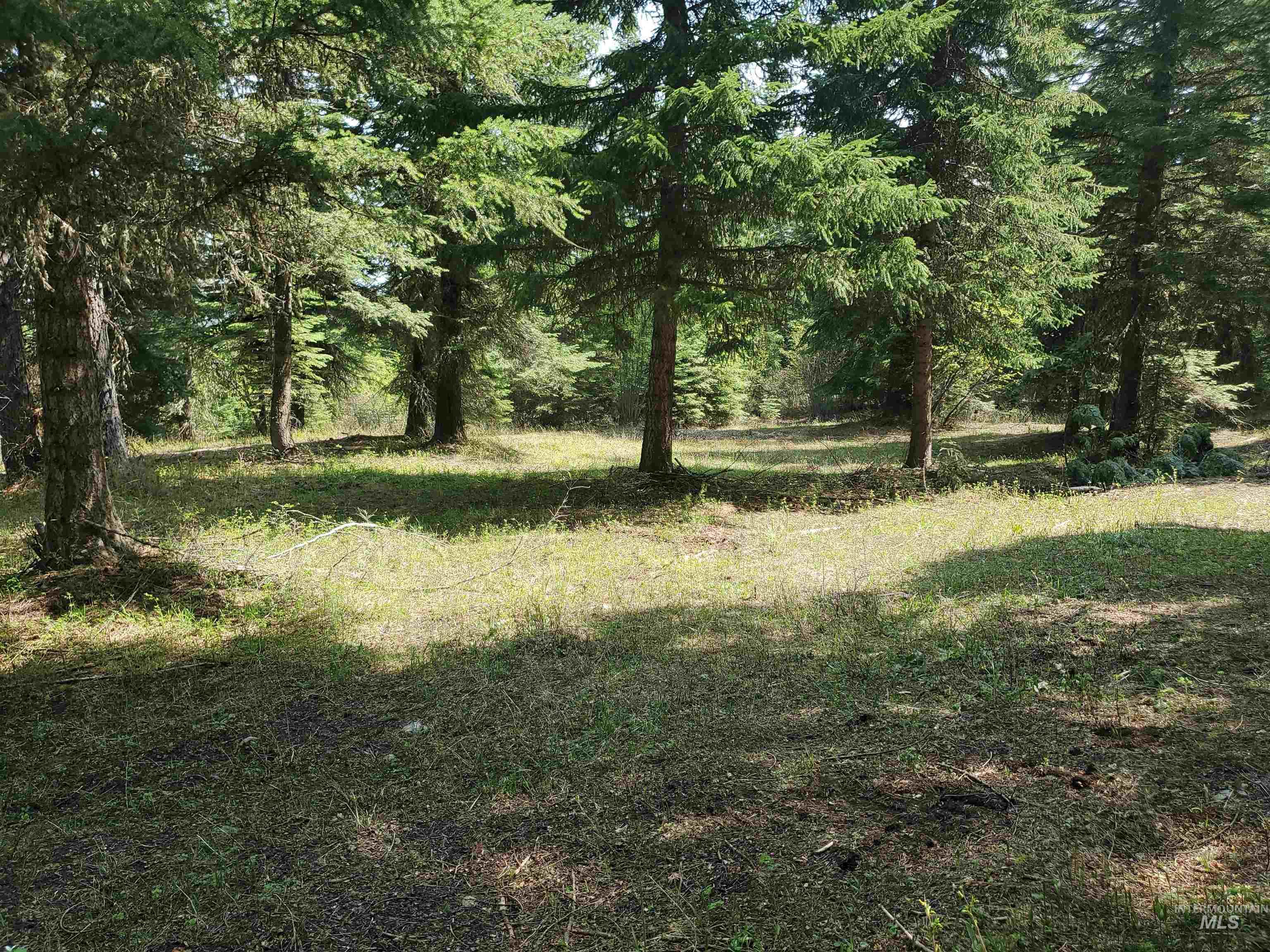TBD OFF GRANGEVILLE SALMON RD, Grangeville, Idaho 83530, Land For Sale, Price $225,000, 98877950