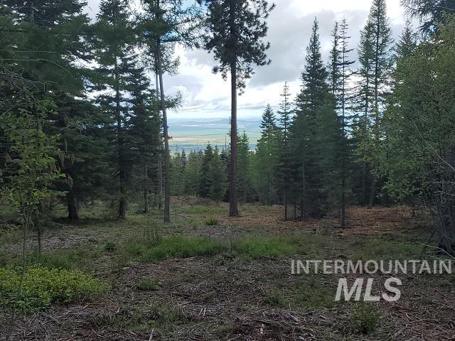 TBD OFF GRANGEVILLE SALMON RD, Grangeville, Idaho 83530, Land For Sale, Price $225,000, 98877950