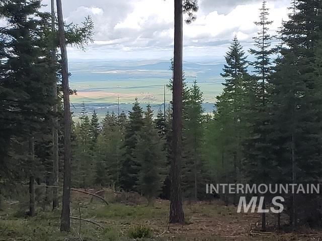 TBD OFF GRANGEVILLE SALMON RD, Grangeville, Idaho 83530, Land For Sale, Price $225,000, 98877950