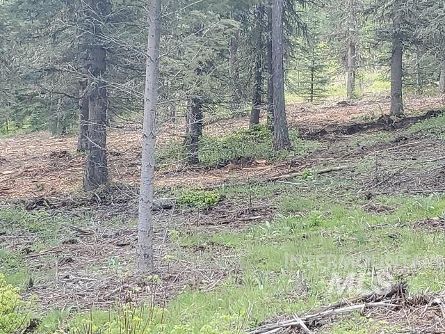 TBD OFF GRANGEVILLE SALMON RD, Grangeville, Idaho 83530, Land For Sale, Price $225,000, 98877950