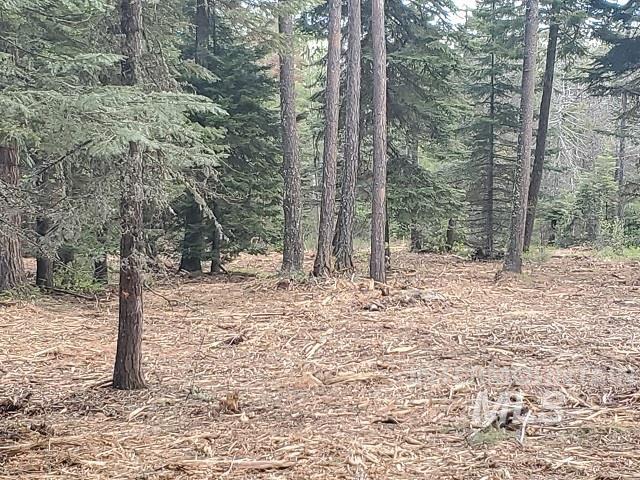 TBD OFF GRANGEVILLE SALMON RD, Grangeville, Idaho 83530, Land For Sale, Price $225,000, 98877950