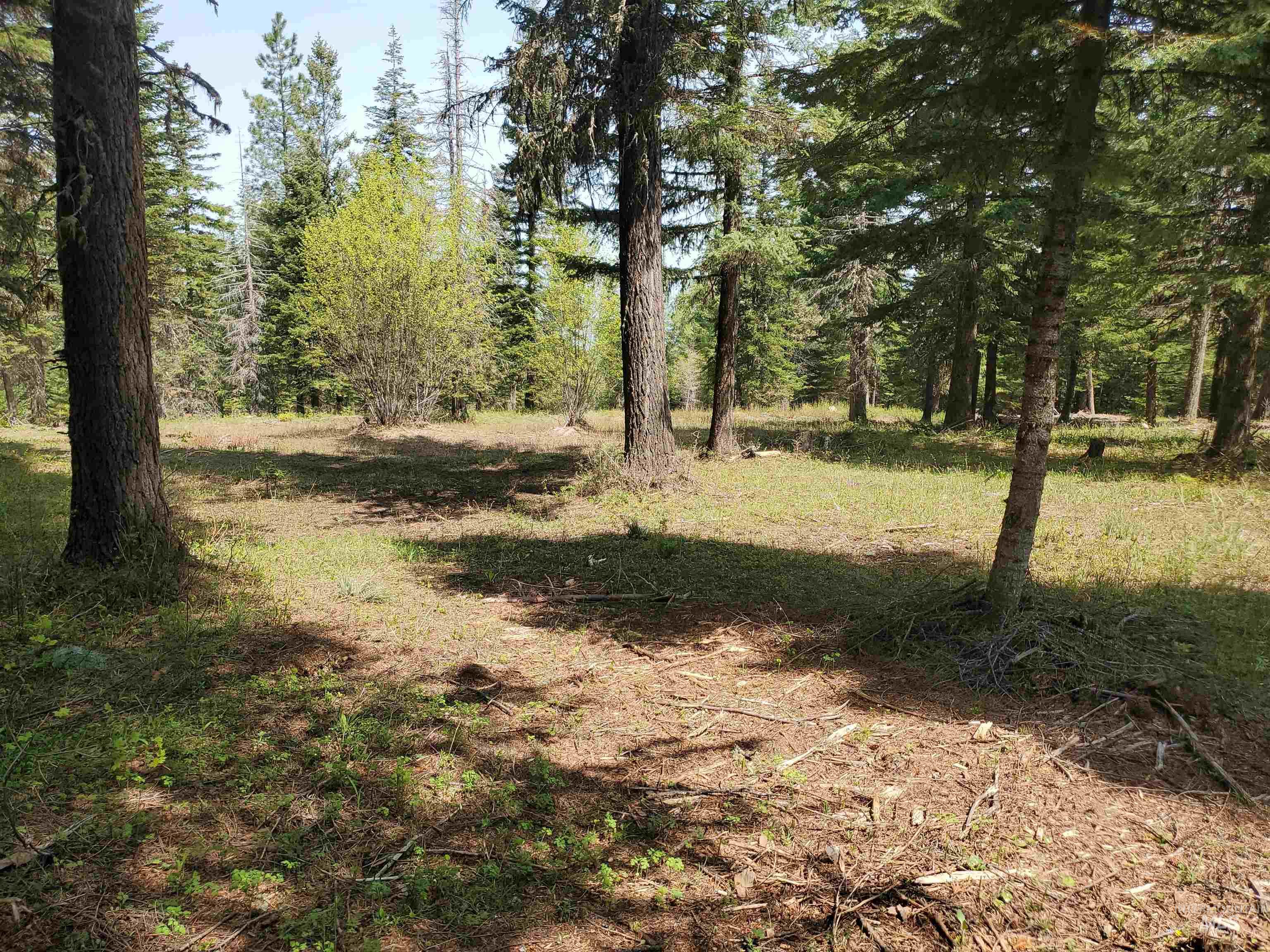 TBD OFF GRANGEVILLE SALMON RD, Grangeville, Idaho 83530, Land For Sale, Price $225,000, 98877950
