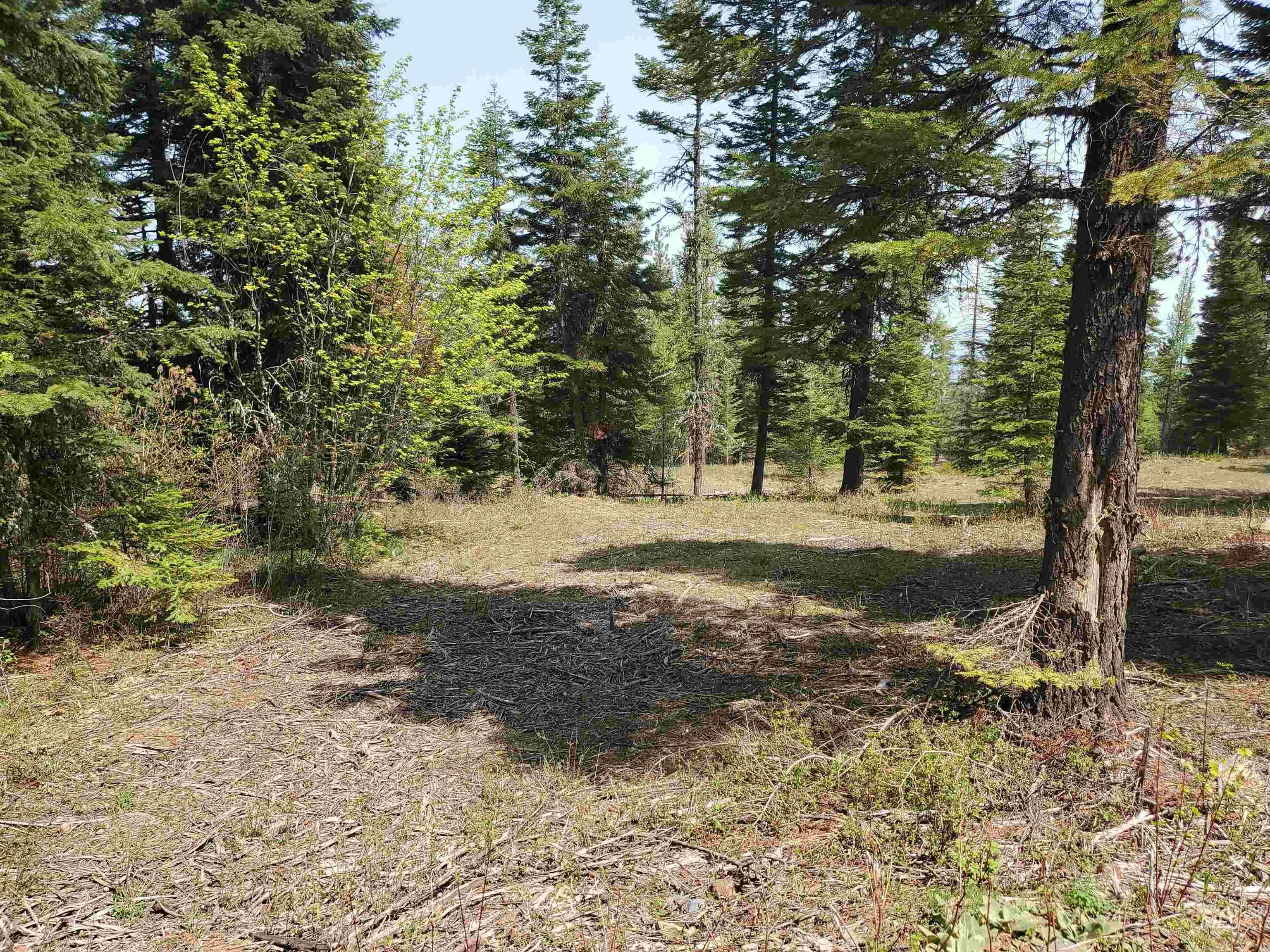 TBD OFF GRANGEVILLE SALMON RD, Grangeville, Idaho 83530, Land For Sale, Price $225,000, 98877950