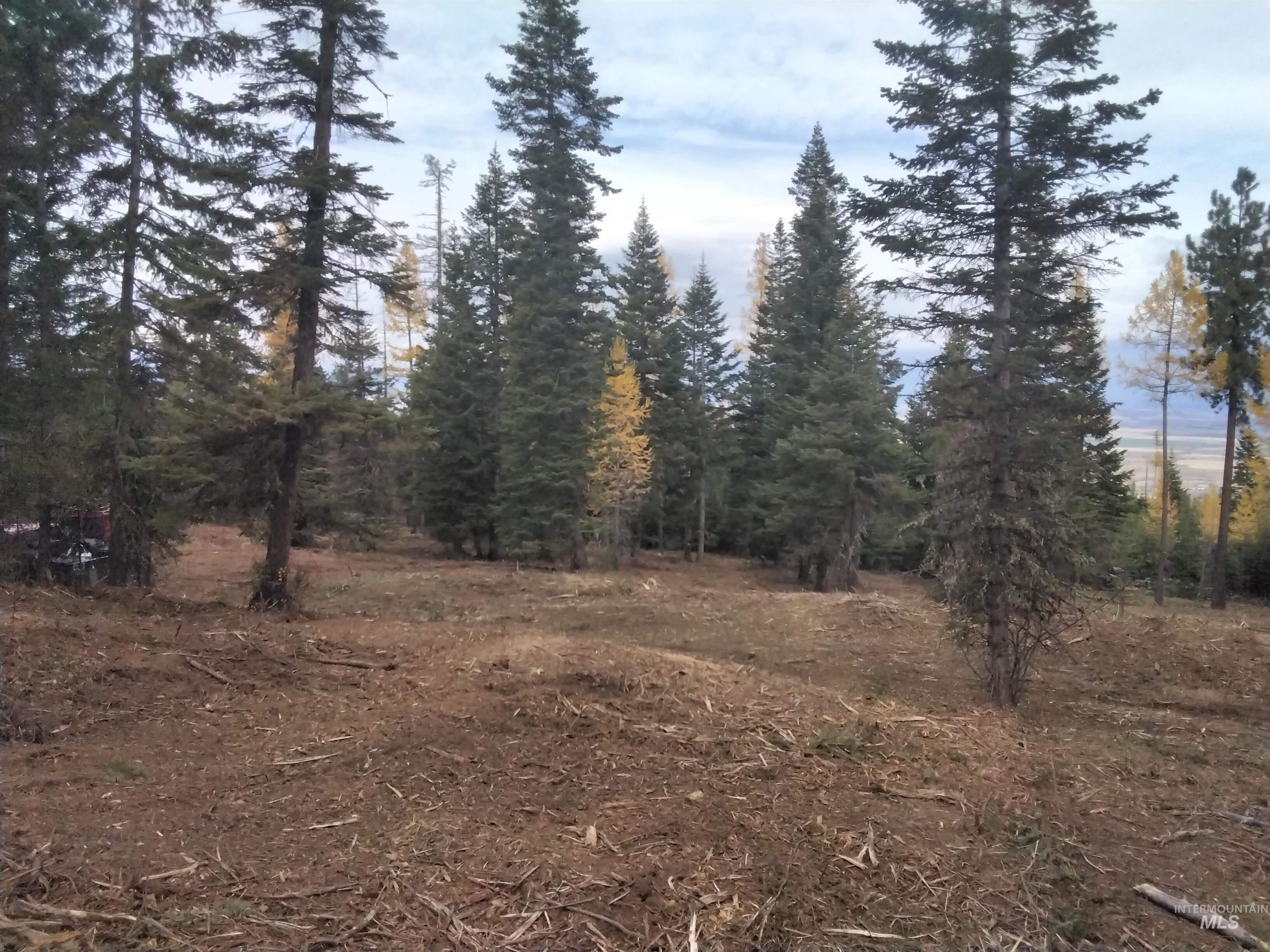 TBD OFF GRANGEVILLE SALMON RD, Grangeville, Idaho 83530, Land For Sale, Price $225,000, 98877950