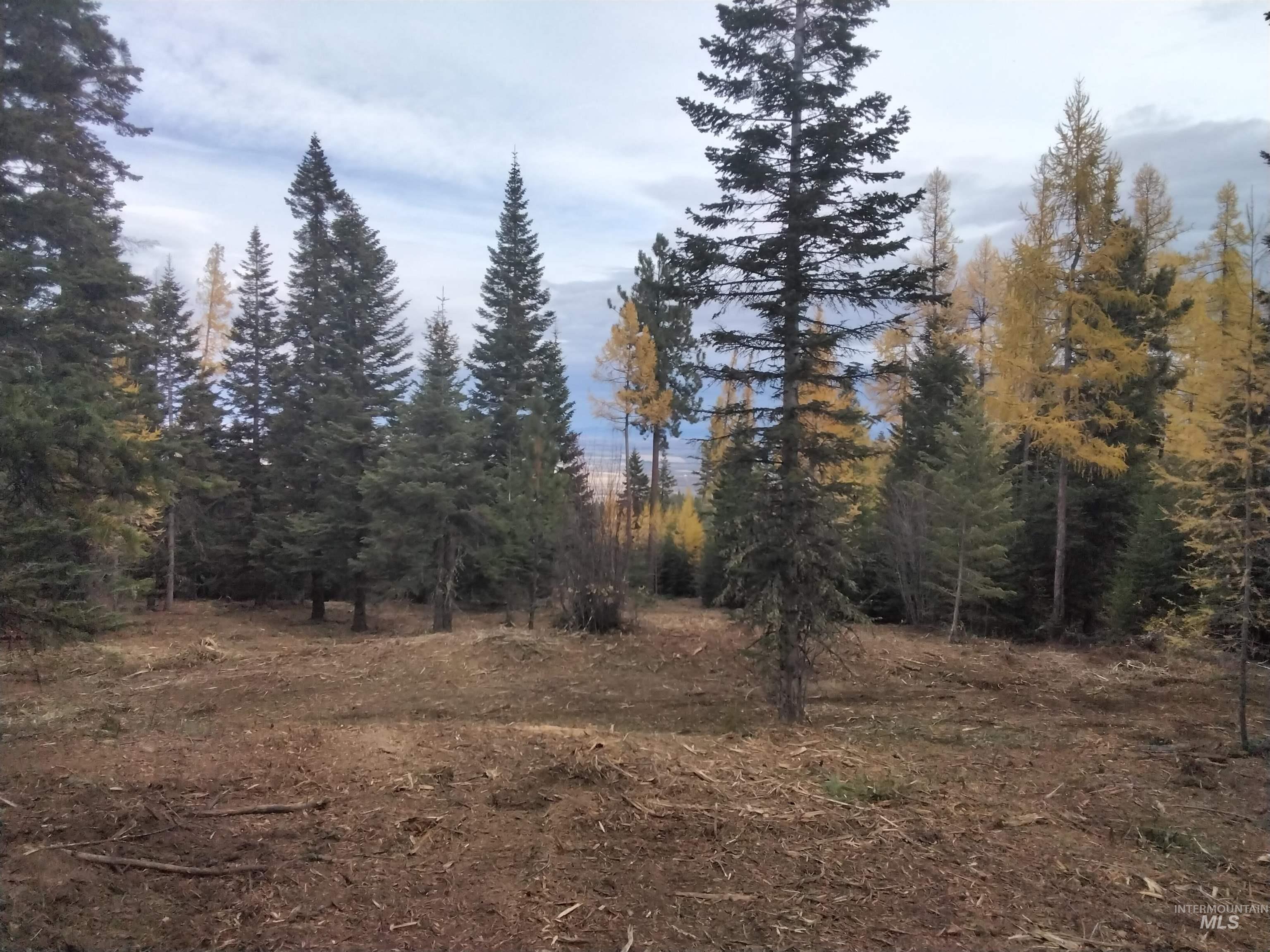 TBD OFF GRANGEVILLE SALMON RD, Grangeville, Idaho 83530, Land For Sale, Price $225,000, 98877950