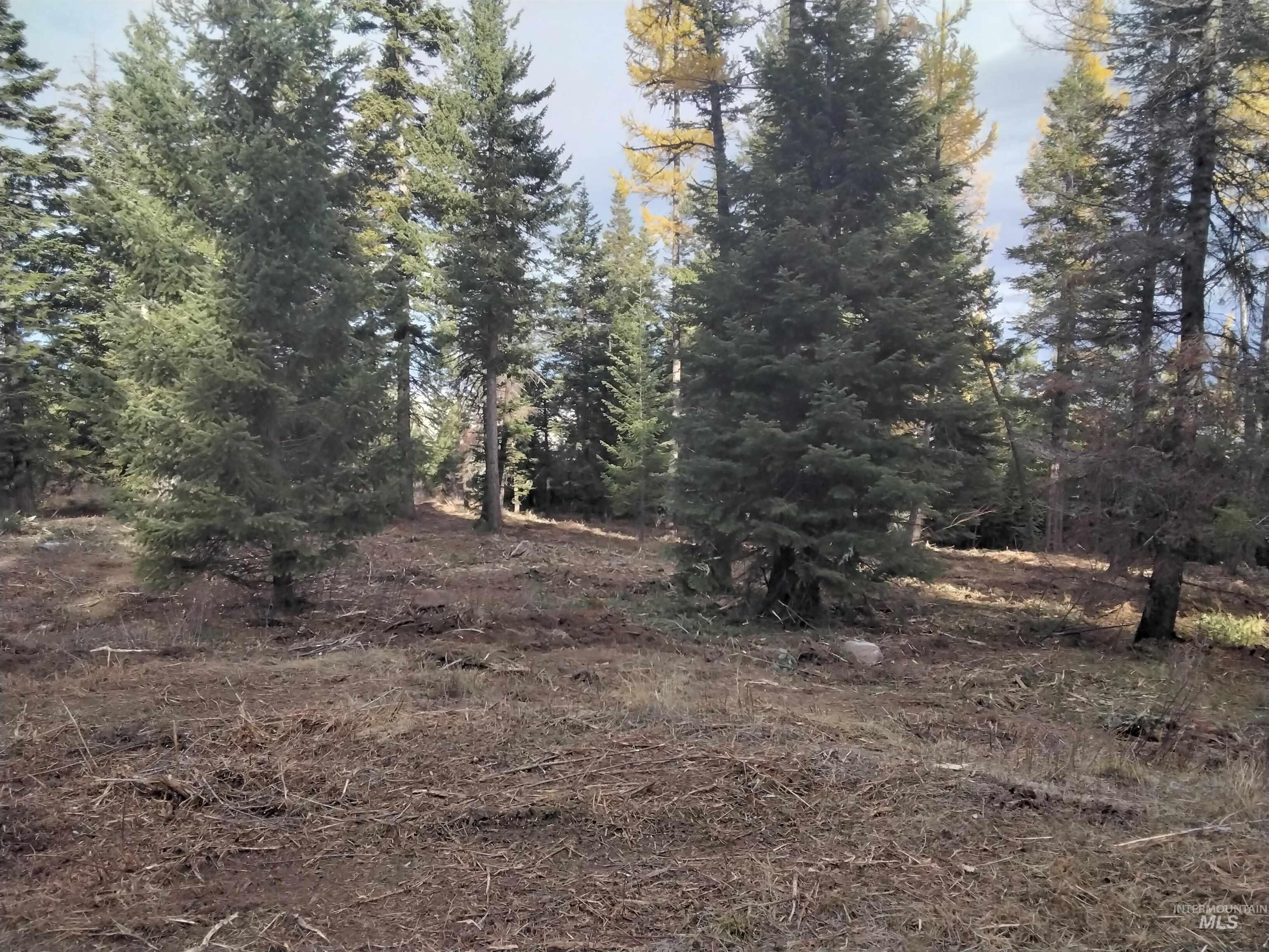 TBD OFF GRANGEVILLE SALMON RD, Grangeville, Idaho 83530, Land For Sale, Price $225,000, 98877950