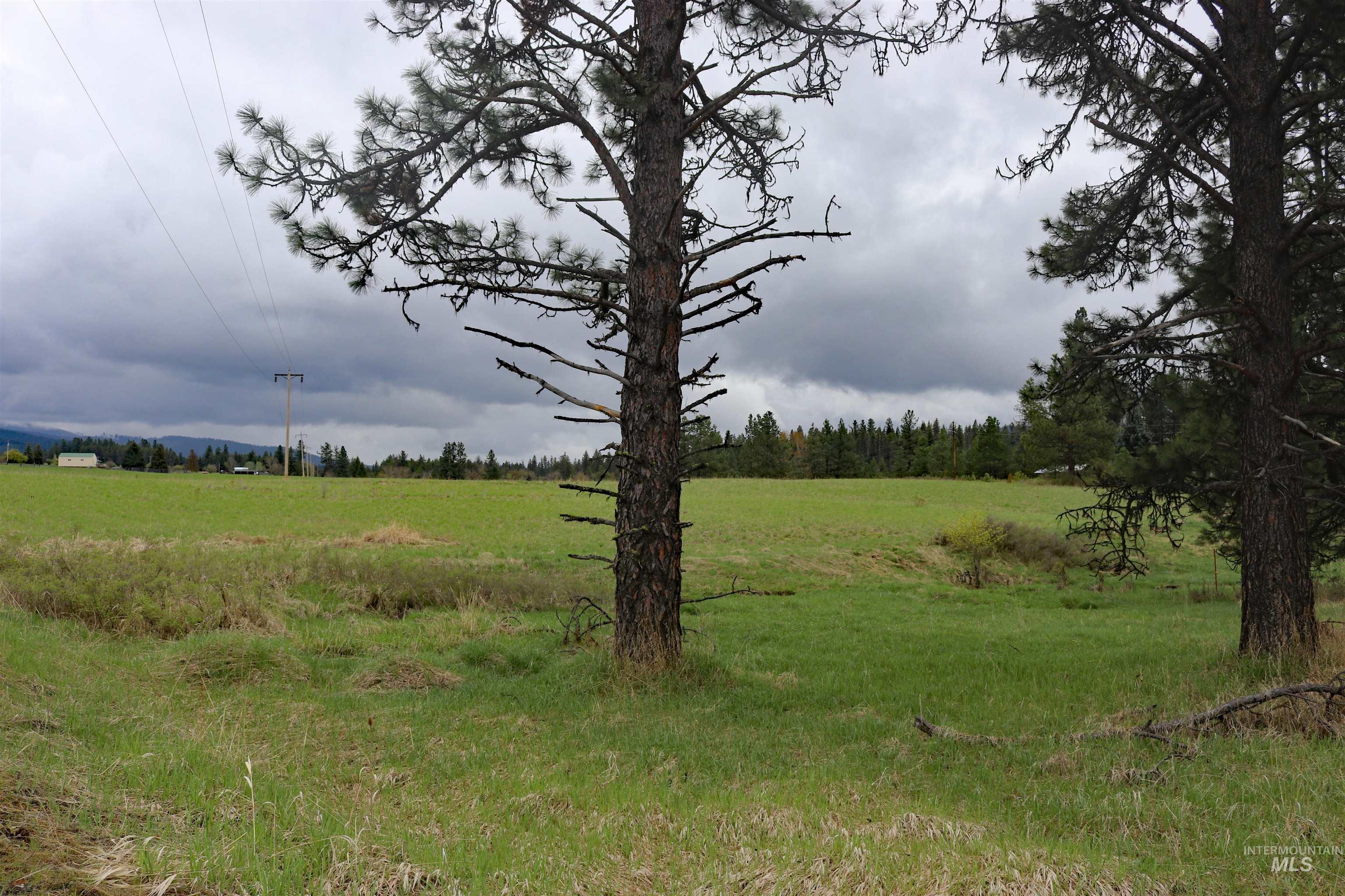 TBD Bubbling Water Road, Parcel 2, Santa, Idaho 83866, Land For Sale, Price $90,000, 98878864