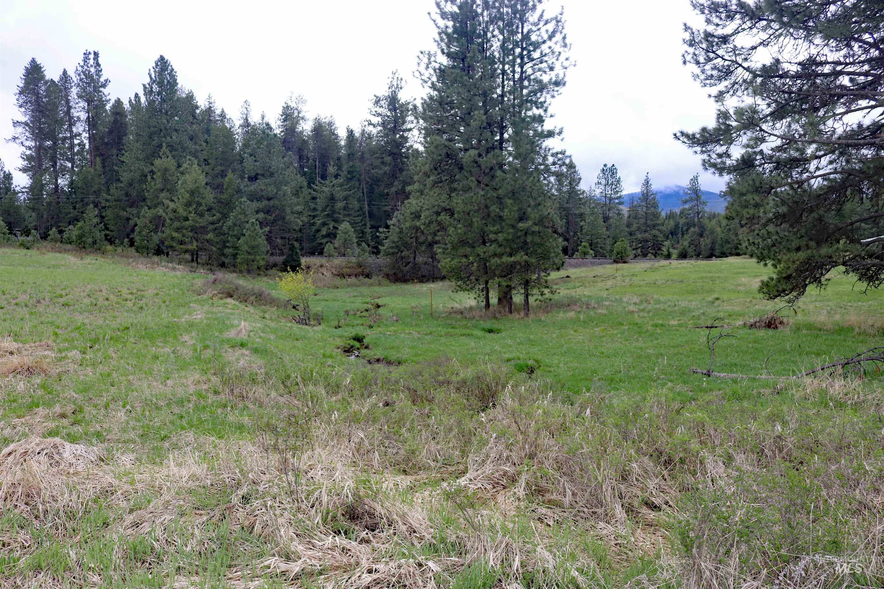 TBD Bubbling Water Road, Parcel 2, Santa, Idaho 83866, Land For Sale, Price $90,000, 98878864
