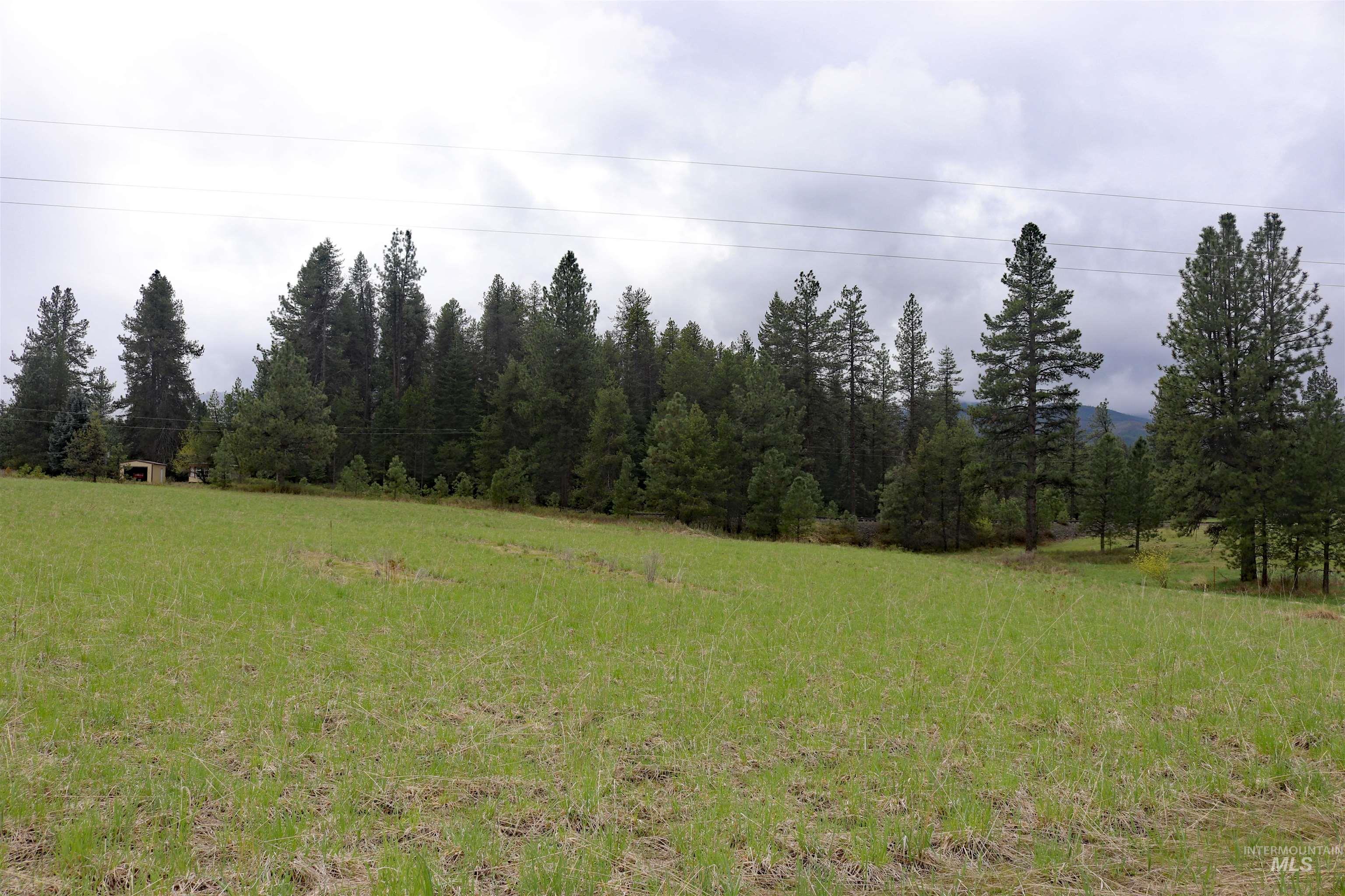 TBD Bubbling Water Road, Parcel 2, Santa, Idaho 83866, Land For Sale, Price $90,000, 98878864